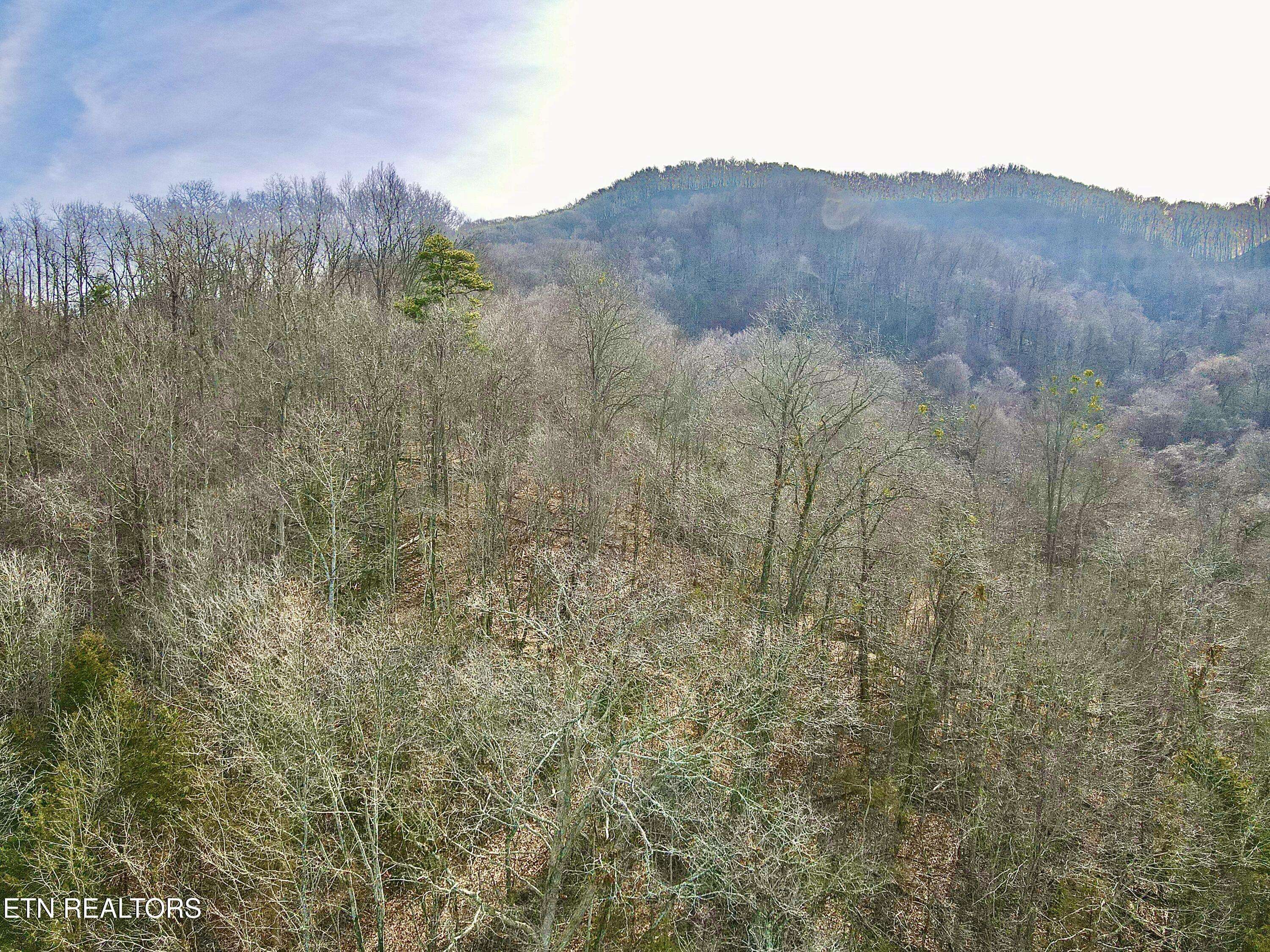 Thorn Hill, TN 37881,TBD Rufus Coffey LN