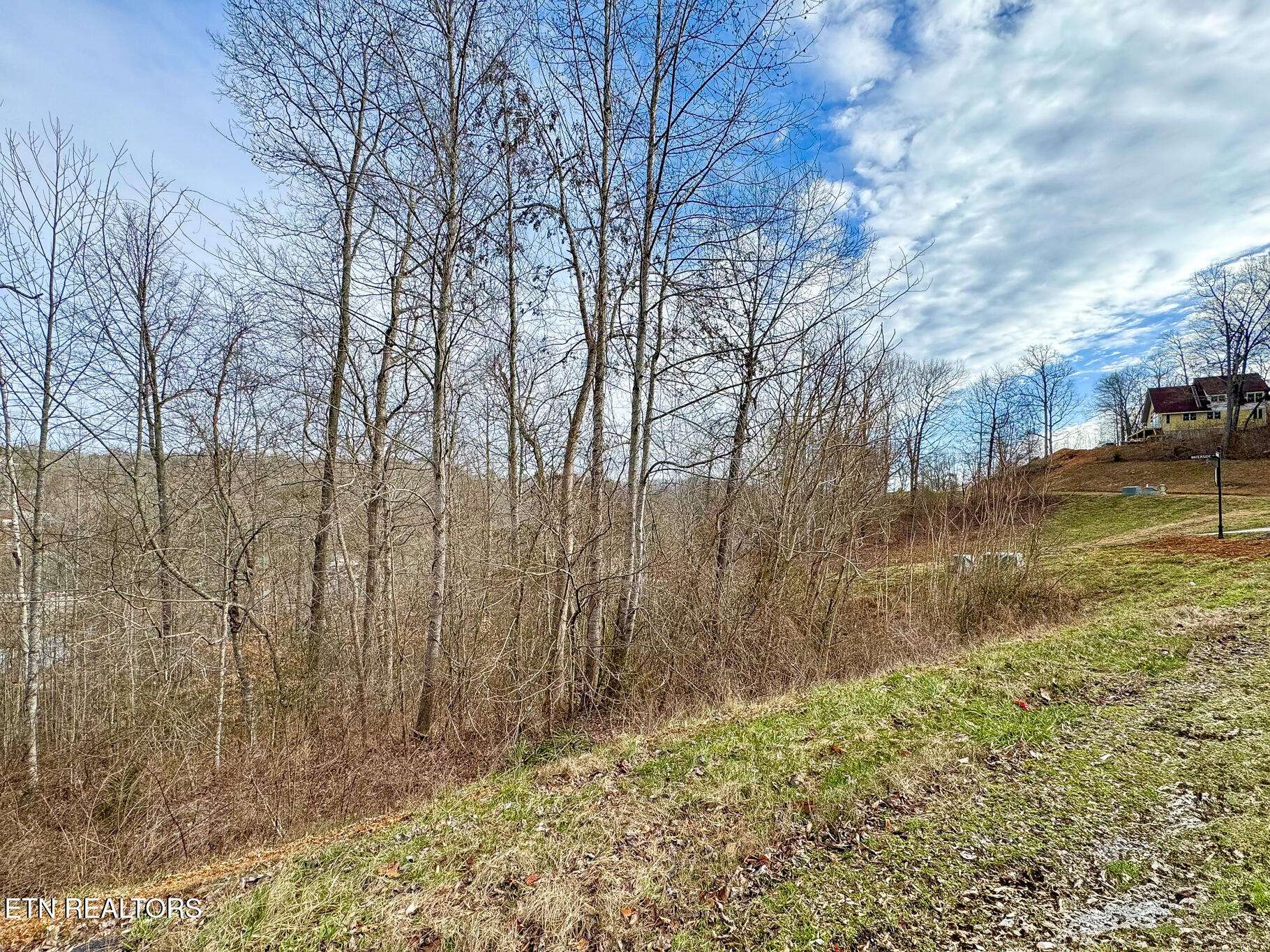 Lafollette, TN 37766,Lot #207 Suncrest CV