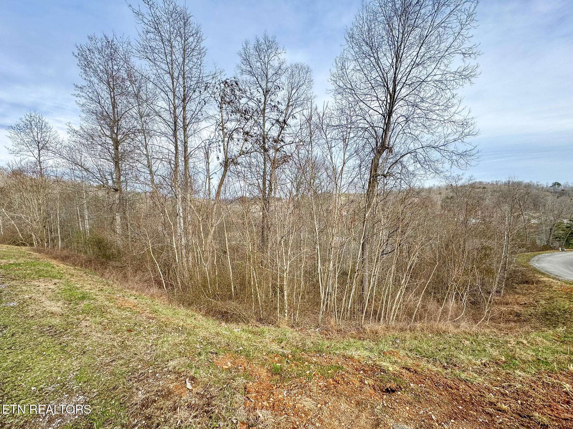 Lafollette, TN 37766,Lot #207 Suncrest CV