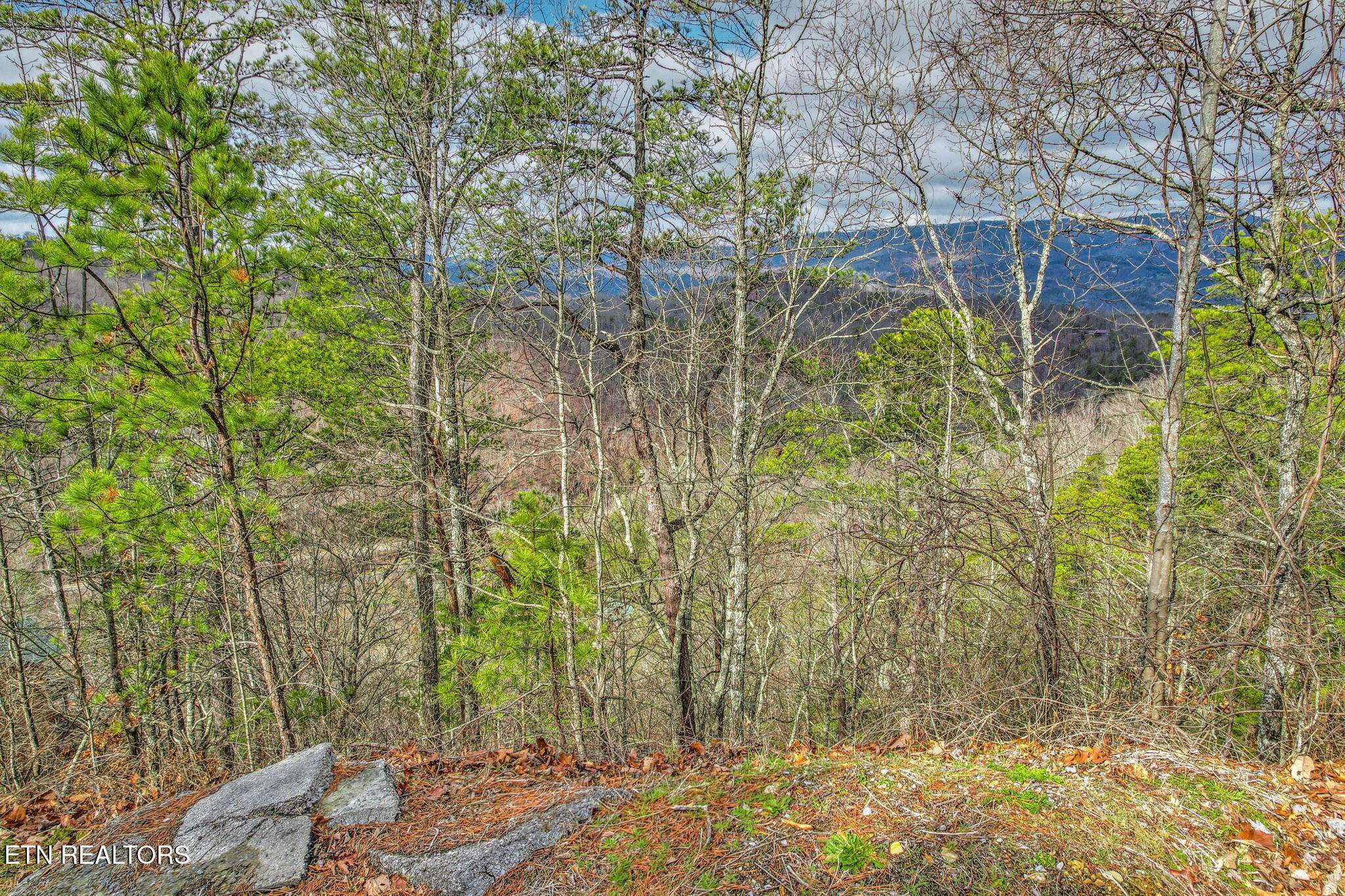 Sevierville, TN 37862,Lot 138 Mountain Ridge WAY