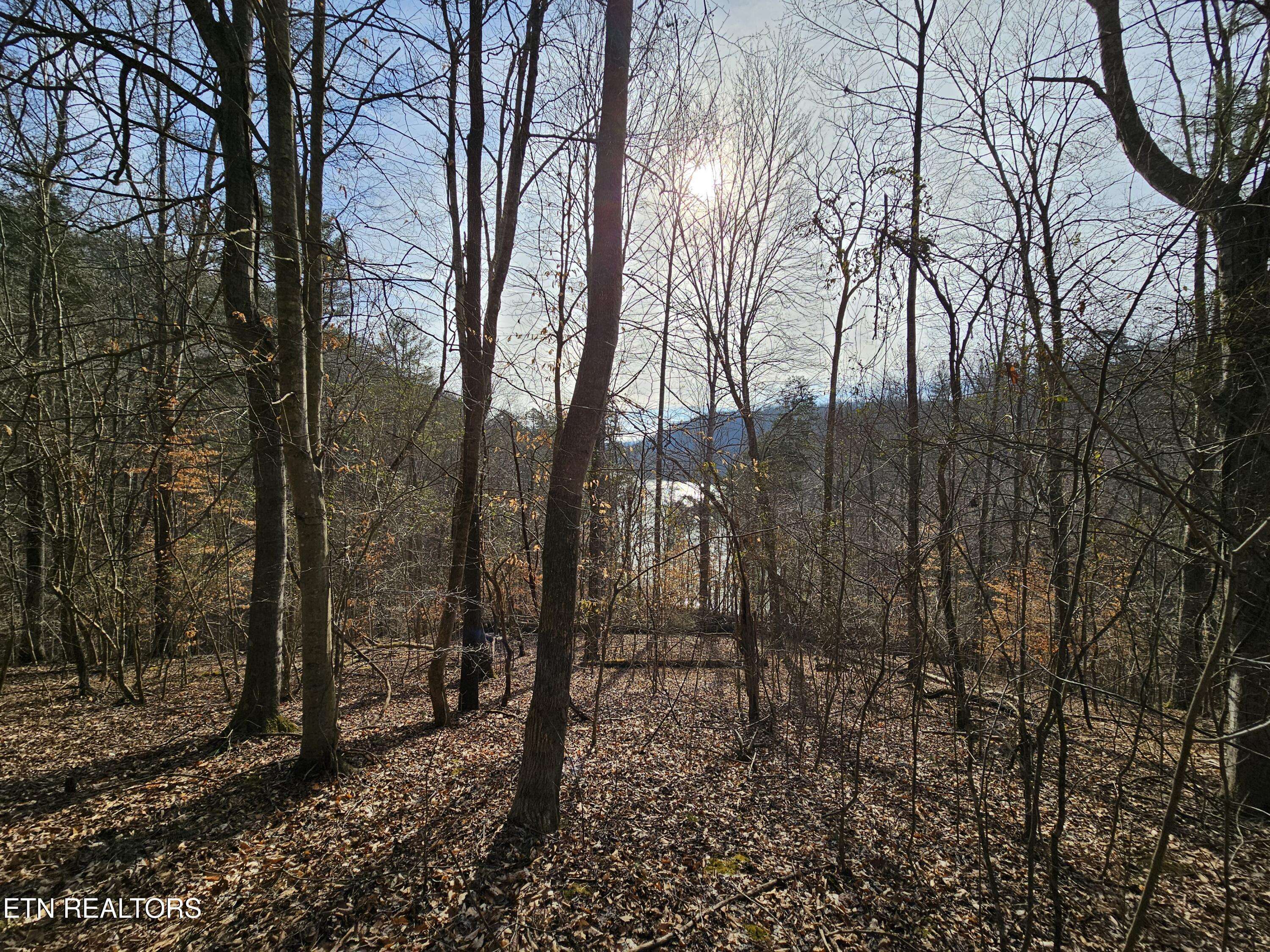 Jacksboro, TN 37757,Lot 3 Chapman LN