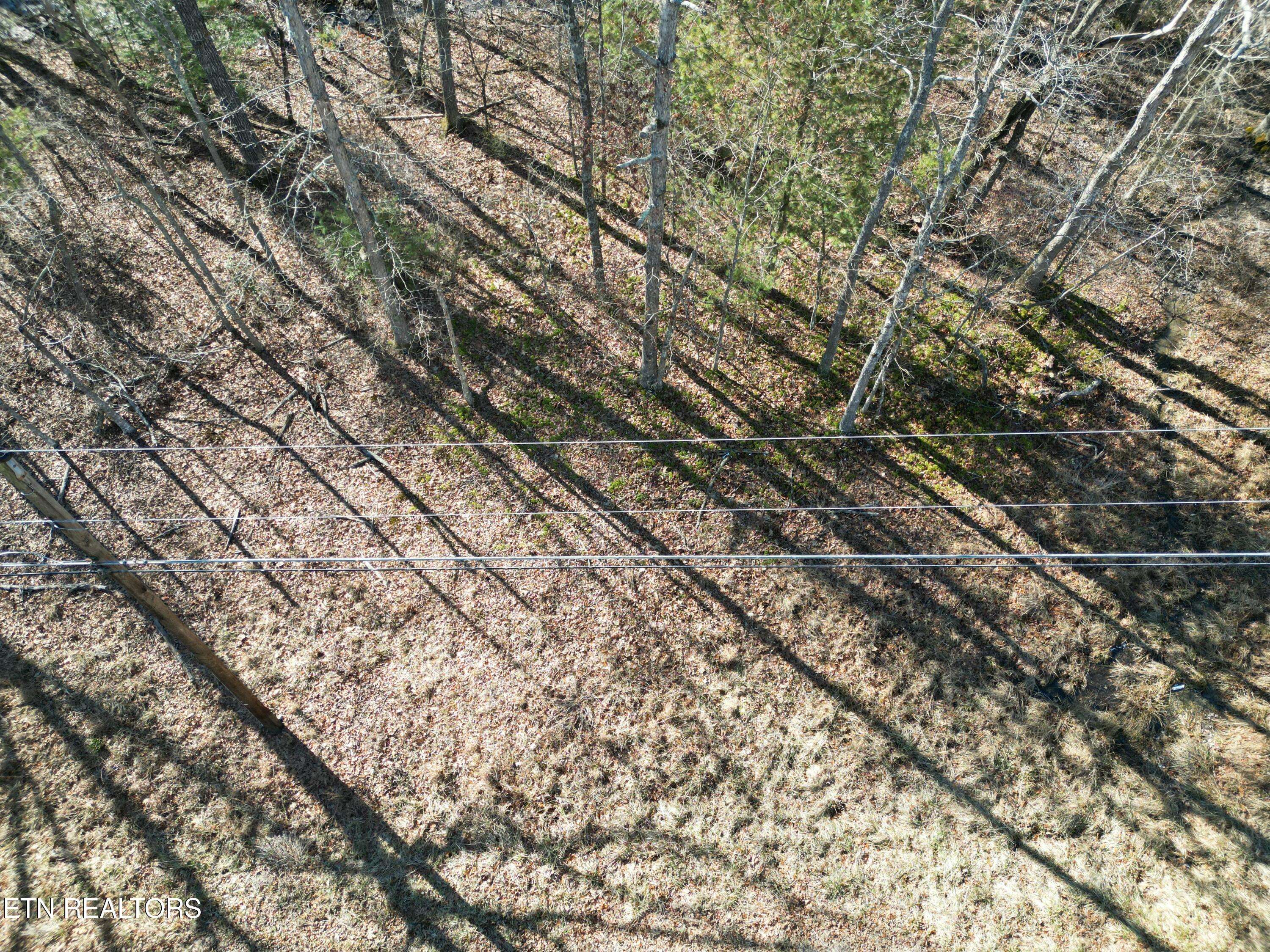 Crossville, TN 38572,5202 Pawnee Rd
