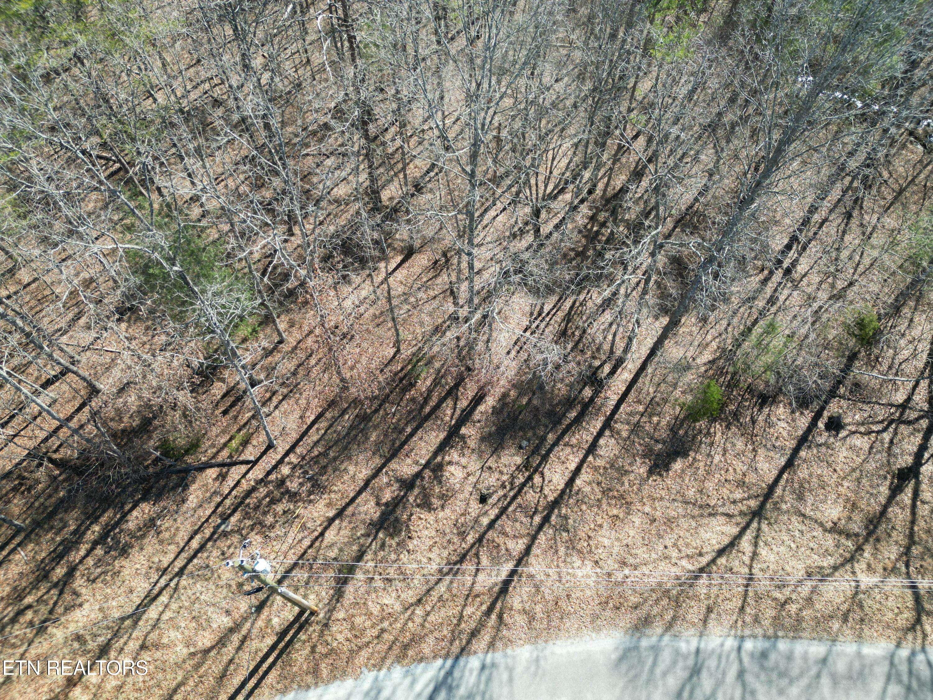 Crossville, TN 38572,4229 Chica Rd