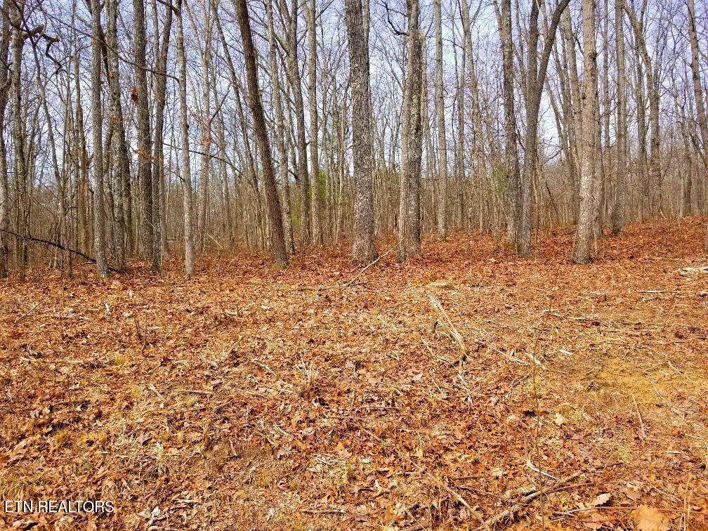 Crossville, TN 38558,49 Cheshire TER
