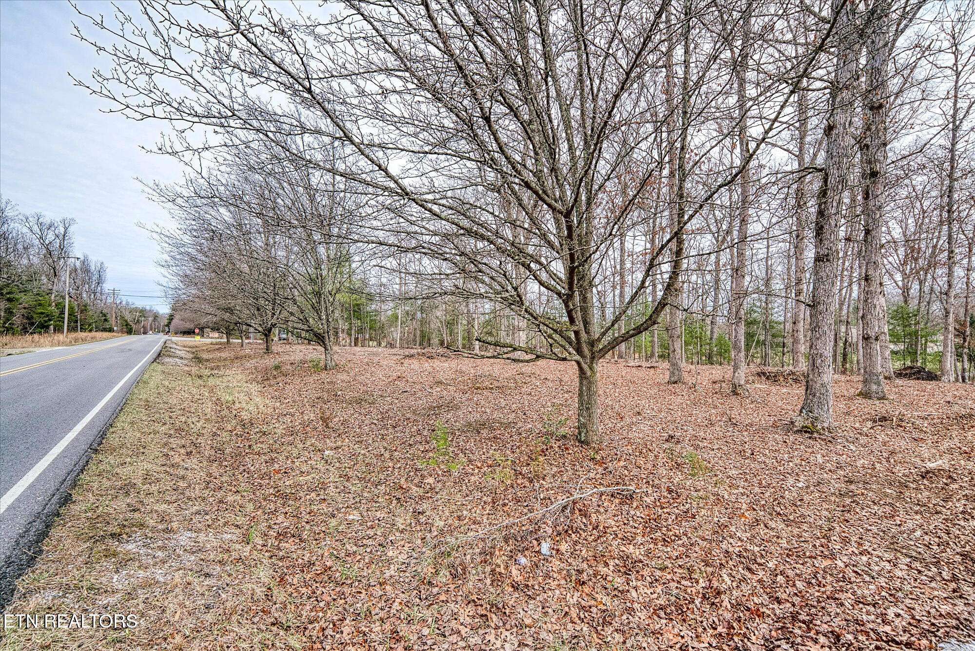 Crossville, TN 38572,Lots 36&37 Carrie DR