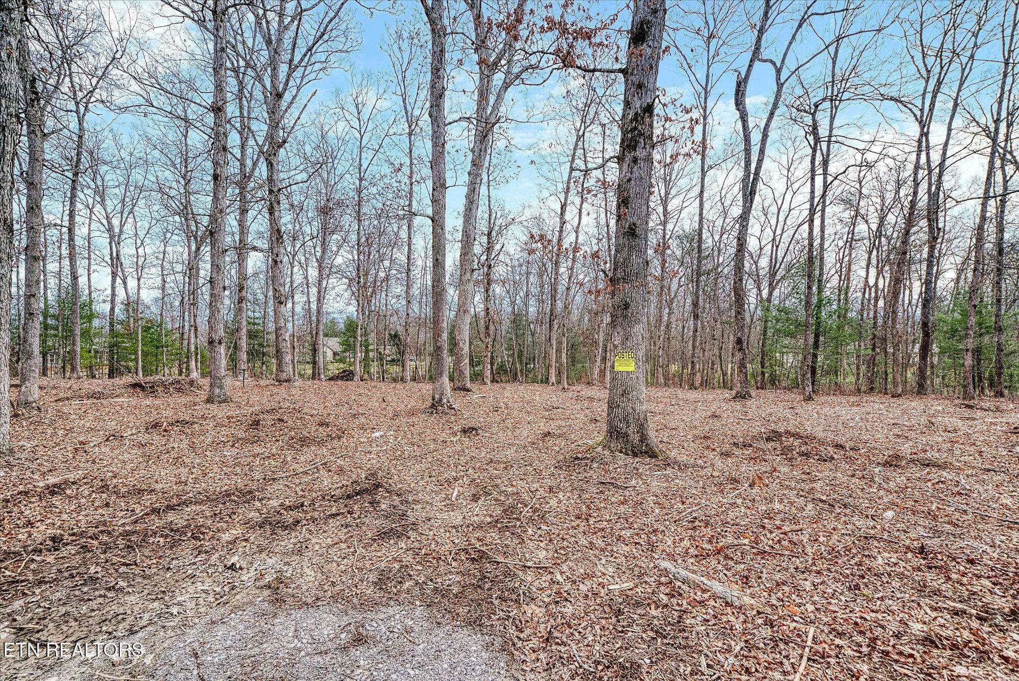 Crossville, TN 38572,Lots 36&37 Carrie DR