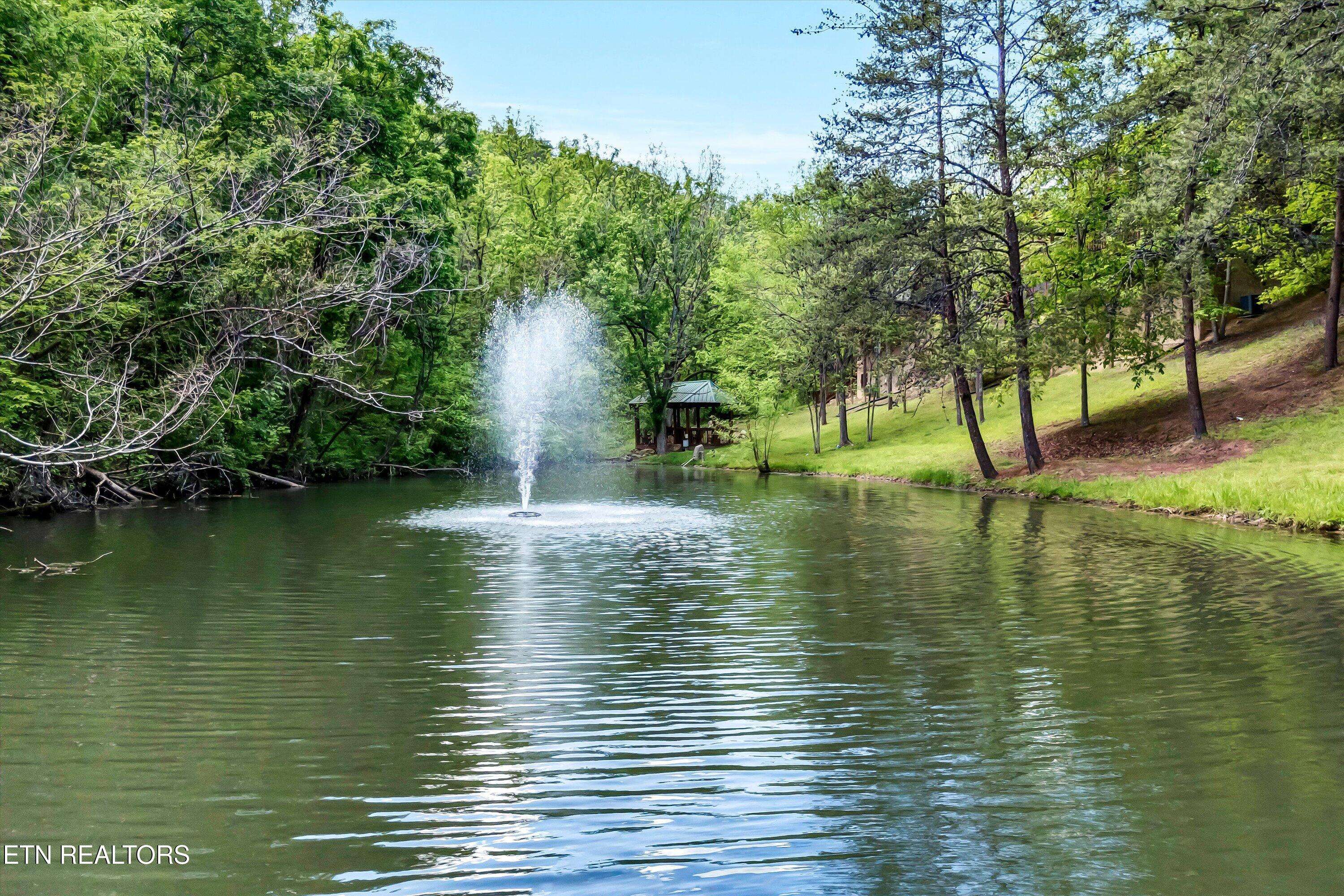 Pigeon Forge, TN 37862,3406 Merlin WAY