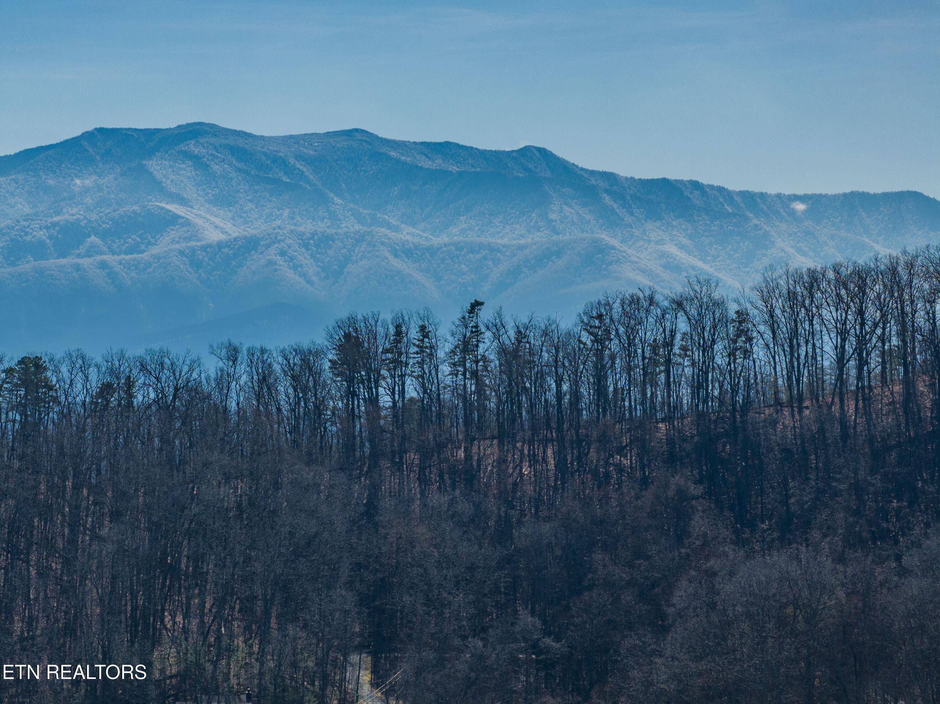 Sevierville, TN 37876,3214 Bear Country WAY