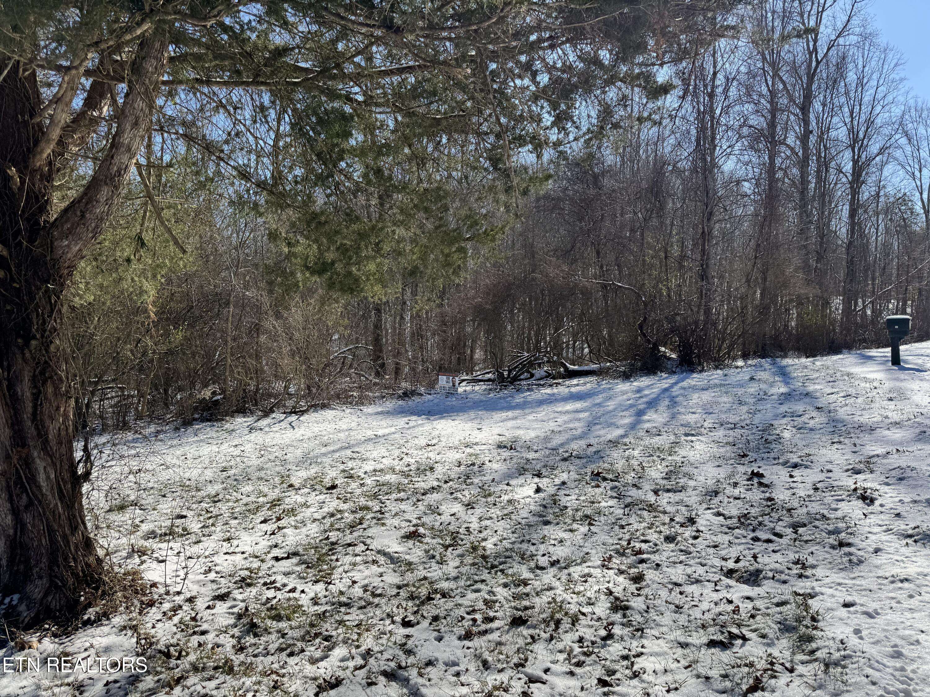 Oneida, TN 37841,0 Hill Ave