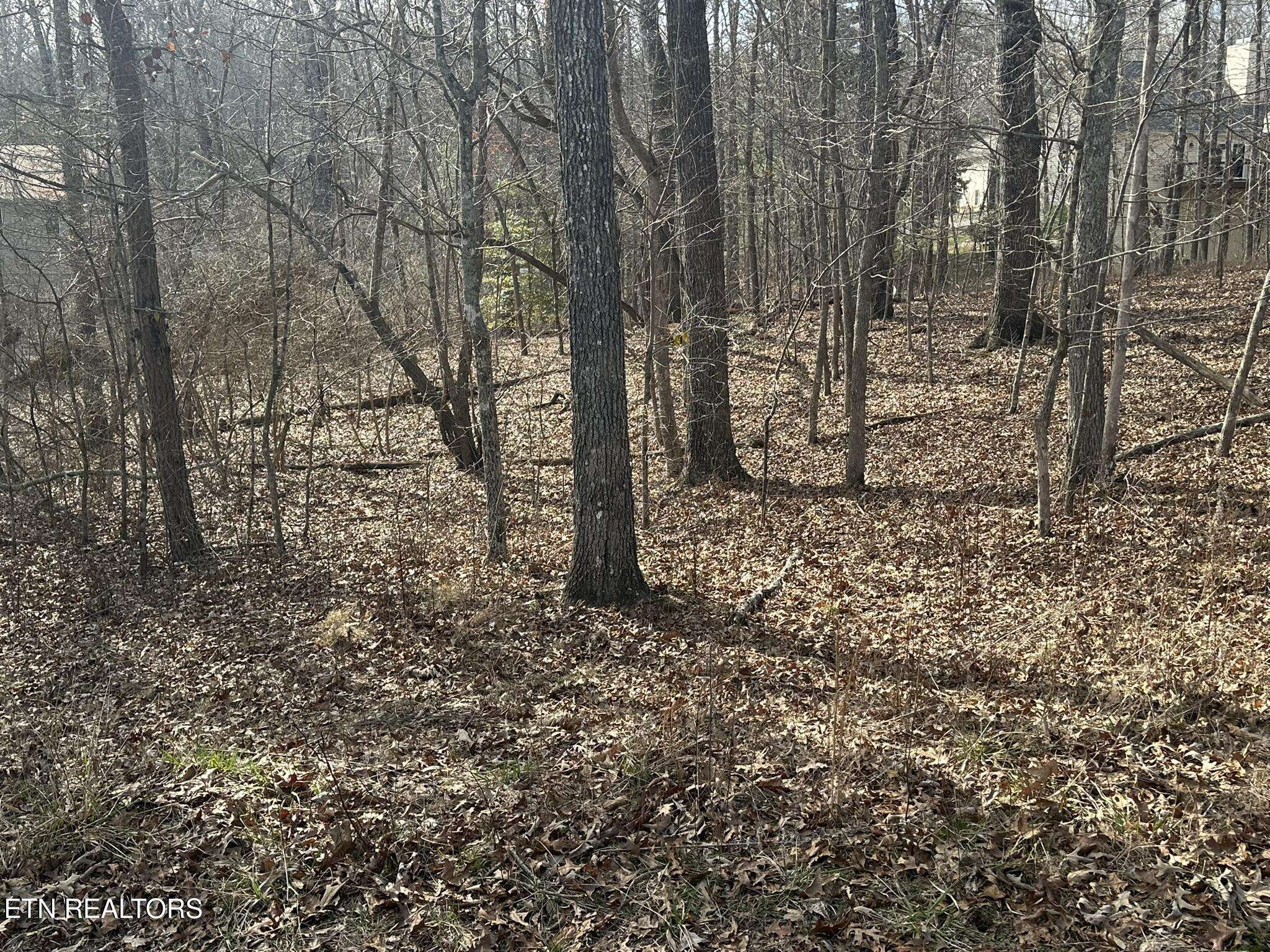 Fairfield Glade, TN 38558,133 Burrough LN
