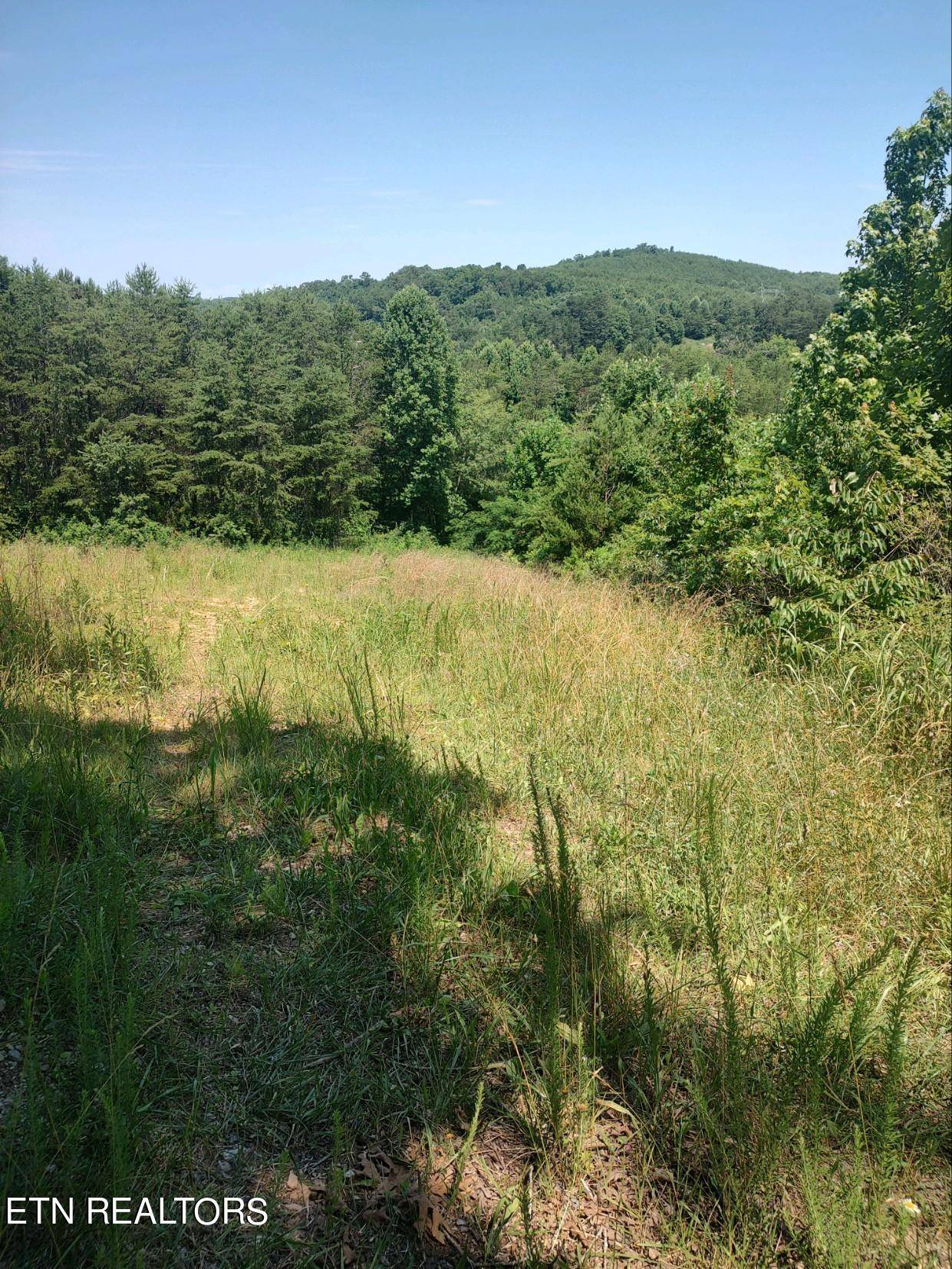 Tellico Plains, TN 37385