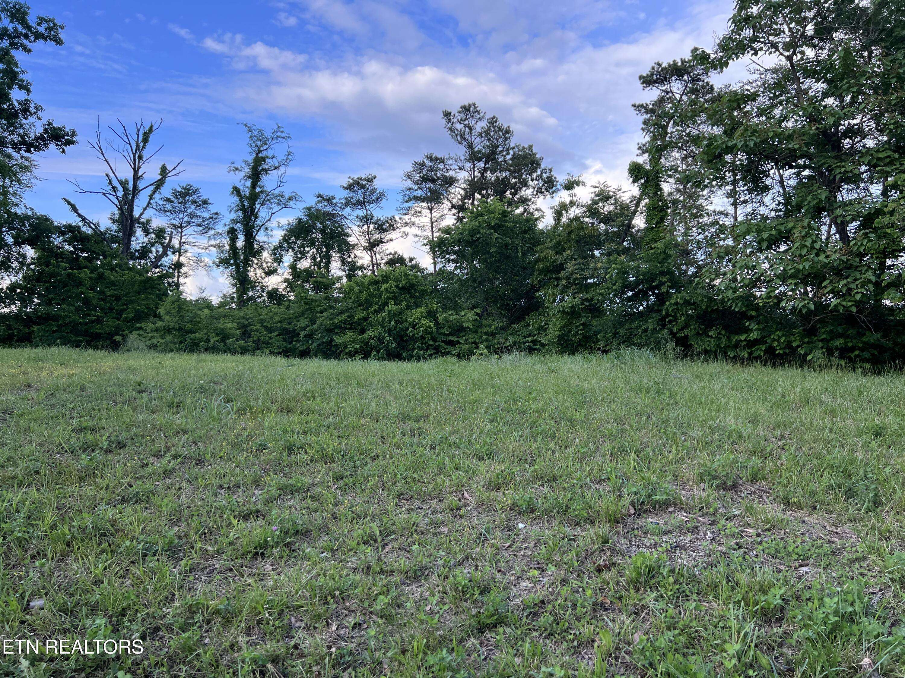 Bulls Gap, TN 37711,Lot 5 Clemon Rd