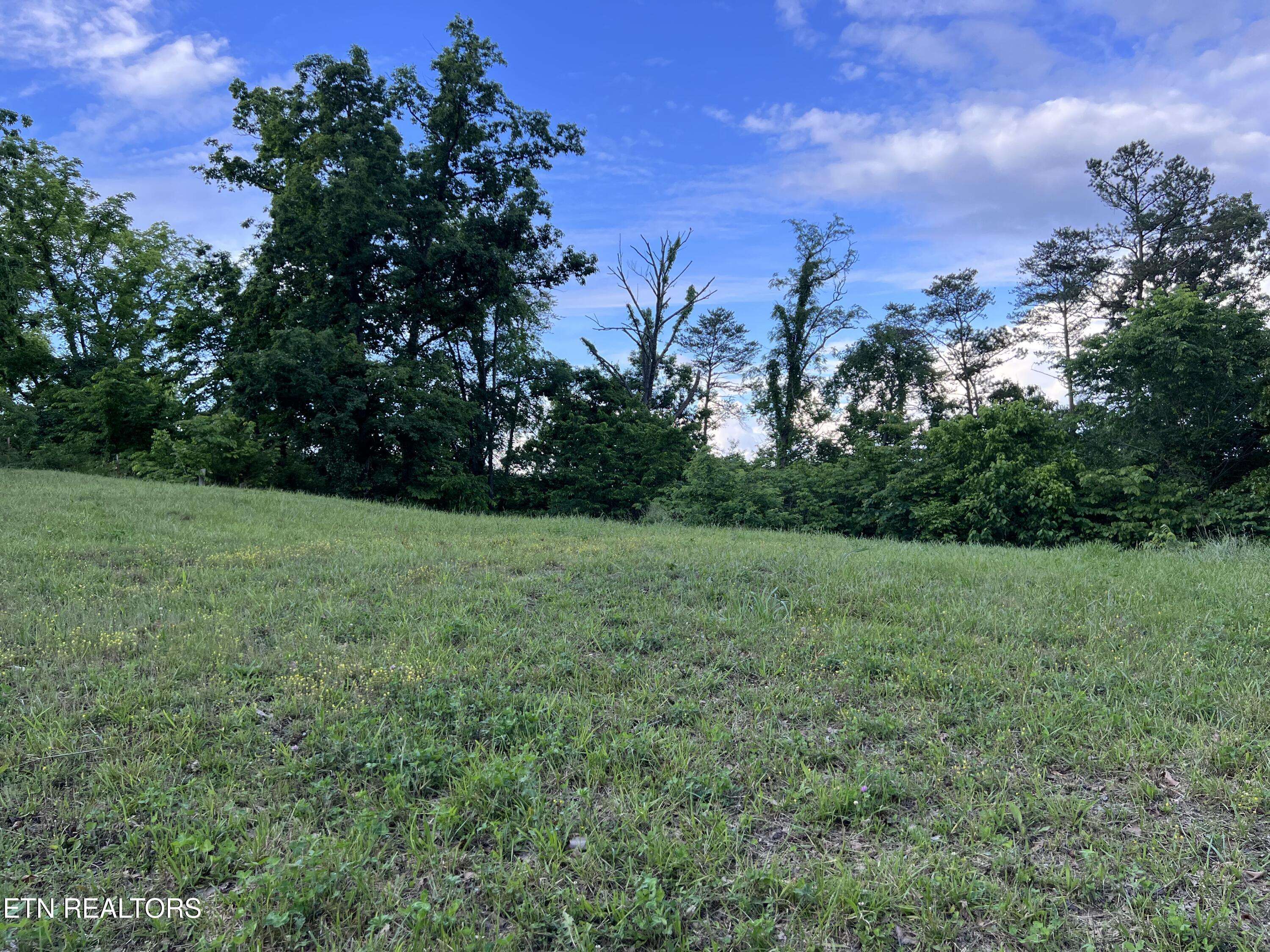 Bulls Gap, TN 37711,Lot 5 Clemon Rd