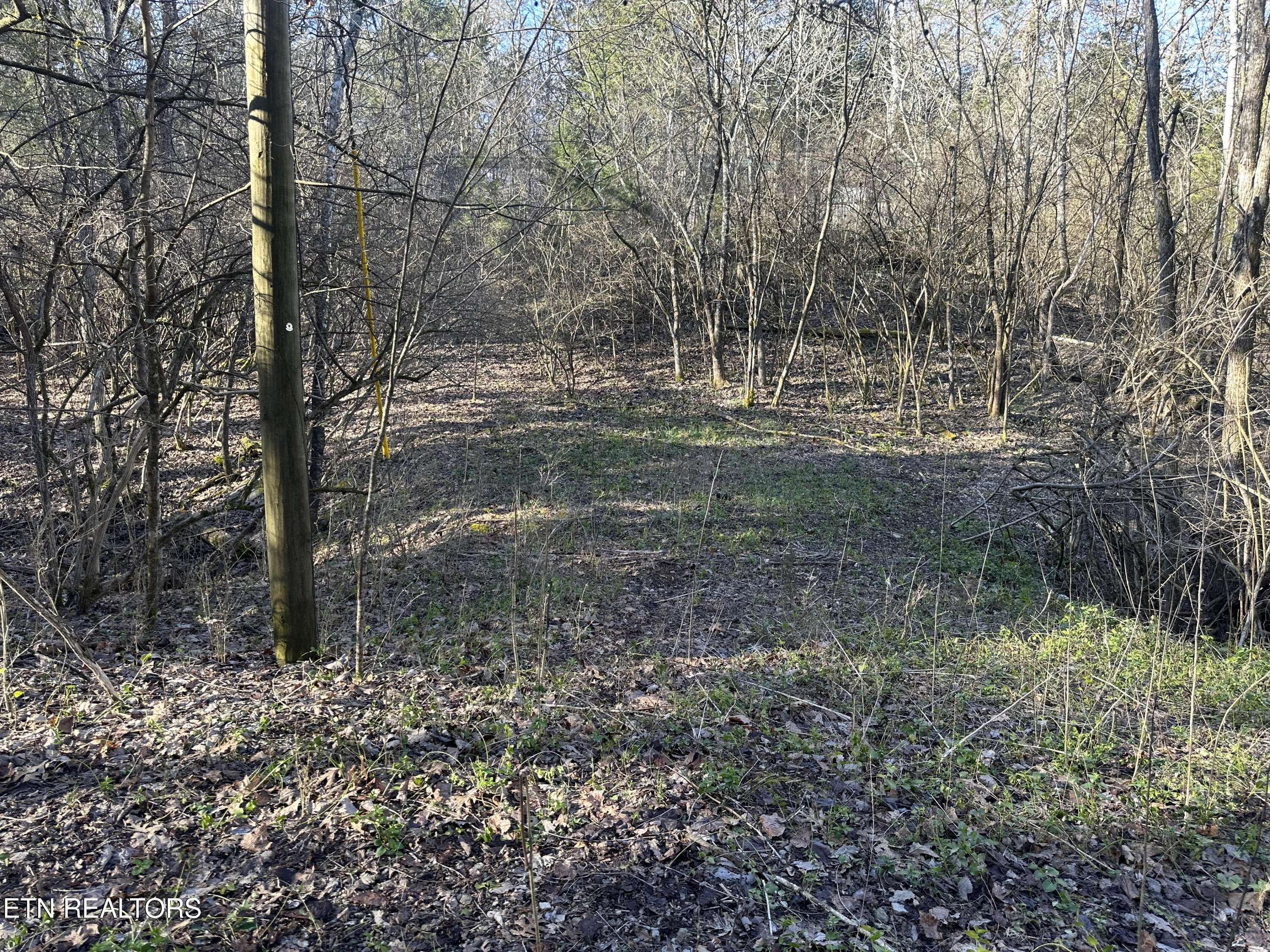 Louisville, TN 37777,Lot 41 Haven Hill Rd.