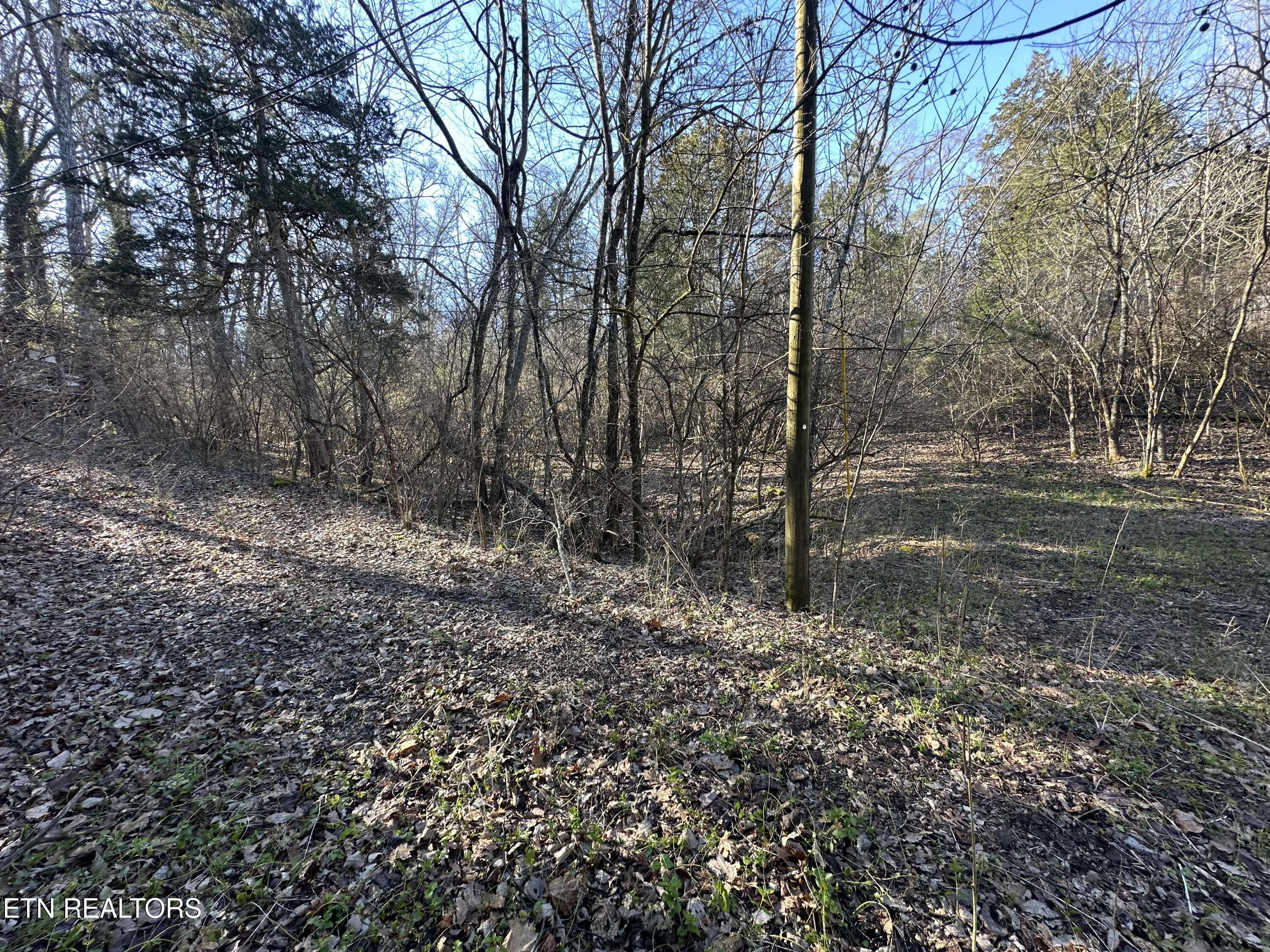 Louisville, TN 37777,Lot 41 Haven Hill Rd.