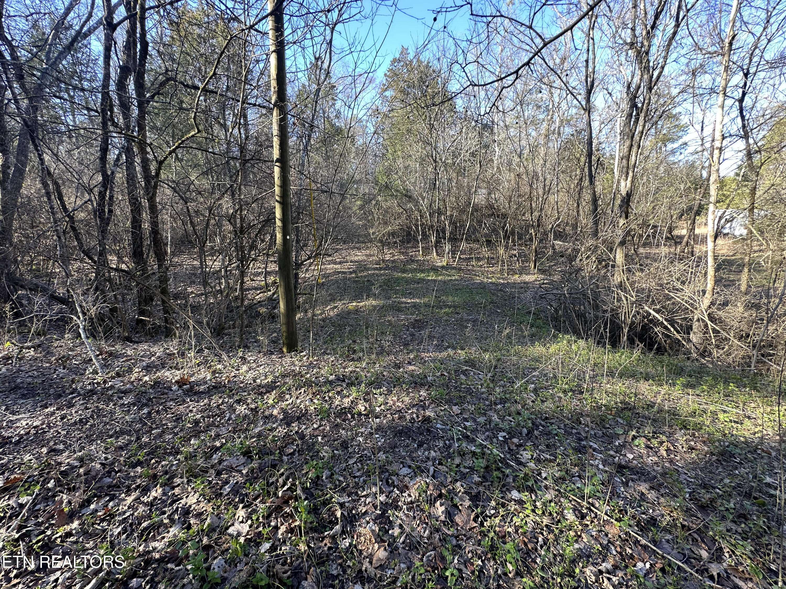 Louisville, TN 37777,Lot 41 Haven Hill Rd.