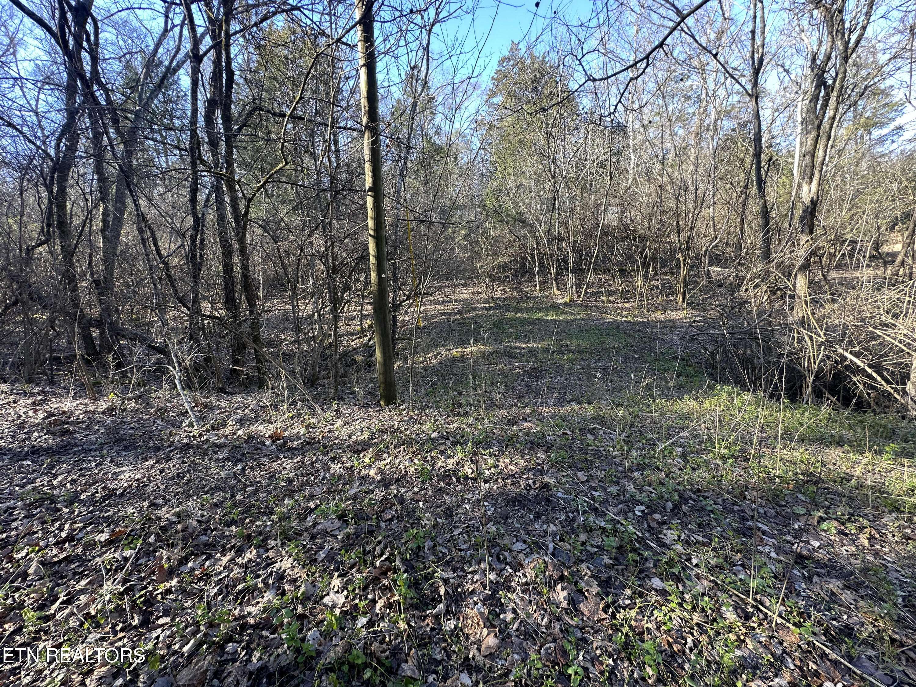 Louisville, TN 37777,Lot 41 Haven Hill Rd.