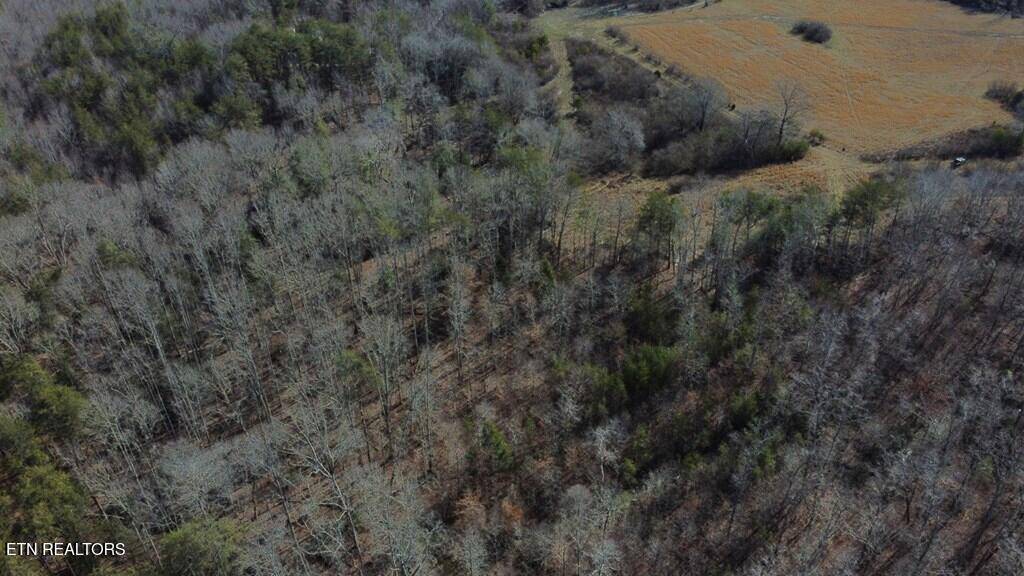 Spencer, TN 38585,3435 Mooneyham Lonewood Rd