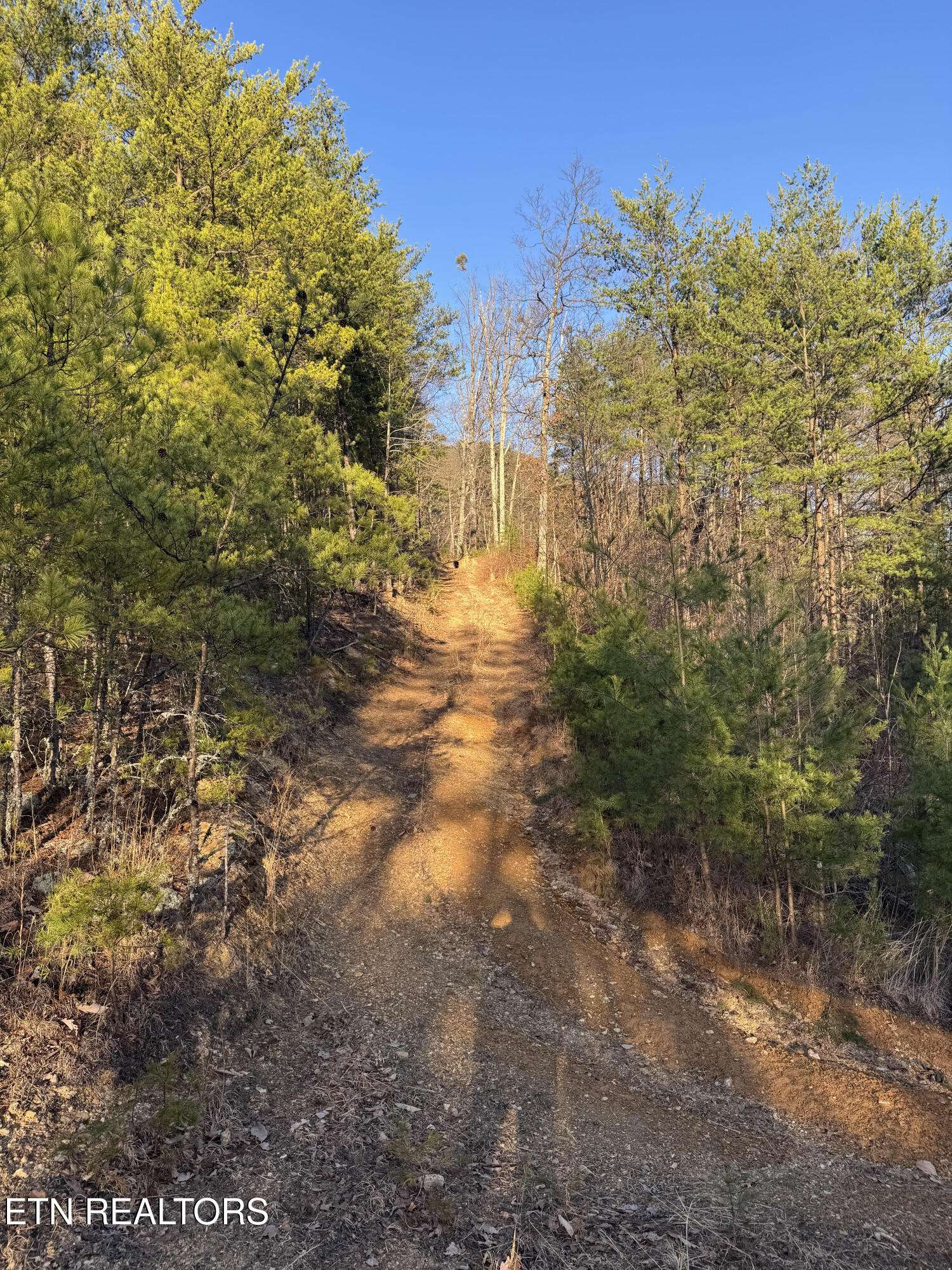 Townsend, TN 37882,Rudd Hollow Rd