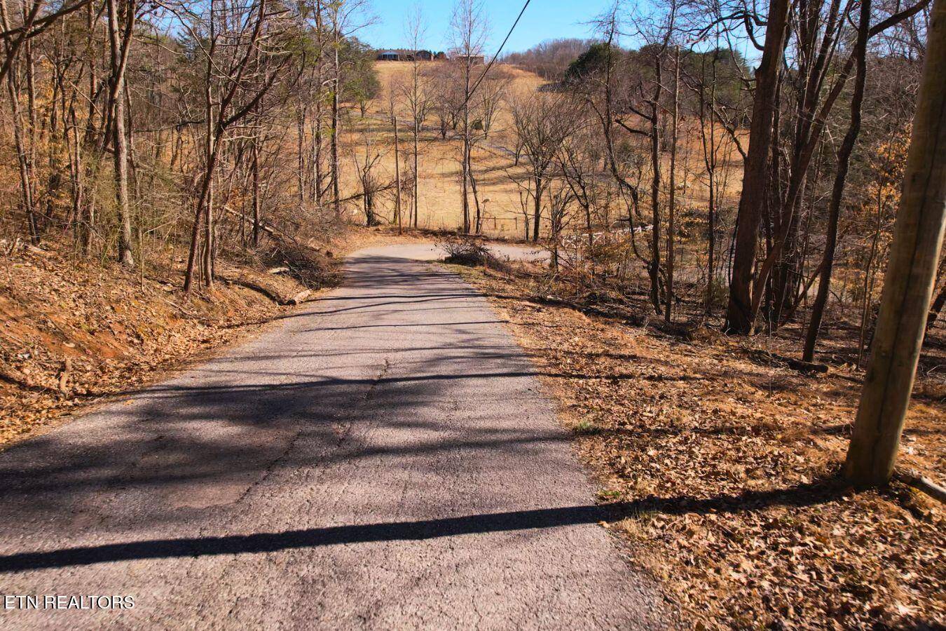 Jacksboro, TN 37757,Lot 227 Auxier DR