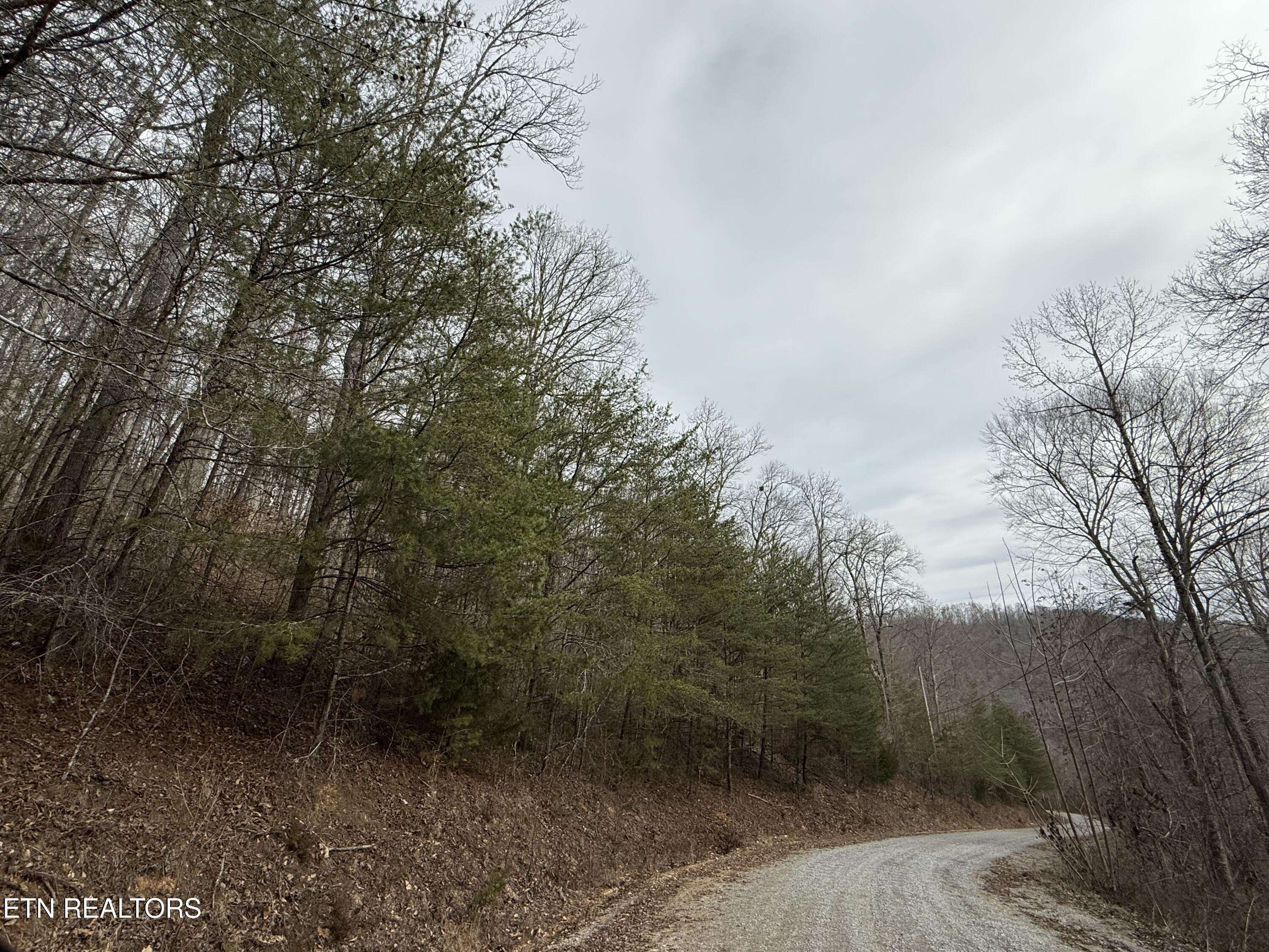 Speedwell, TN 37870,JONES RIDGE RD Rd