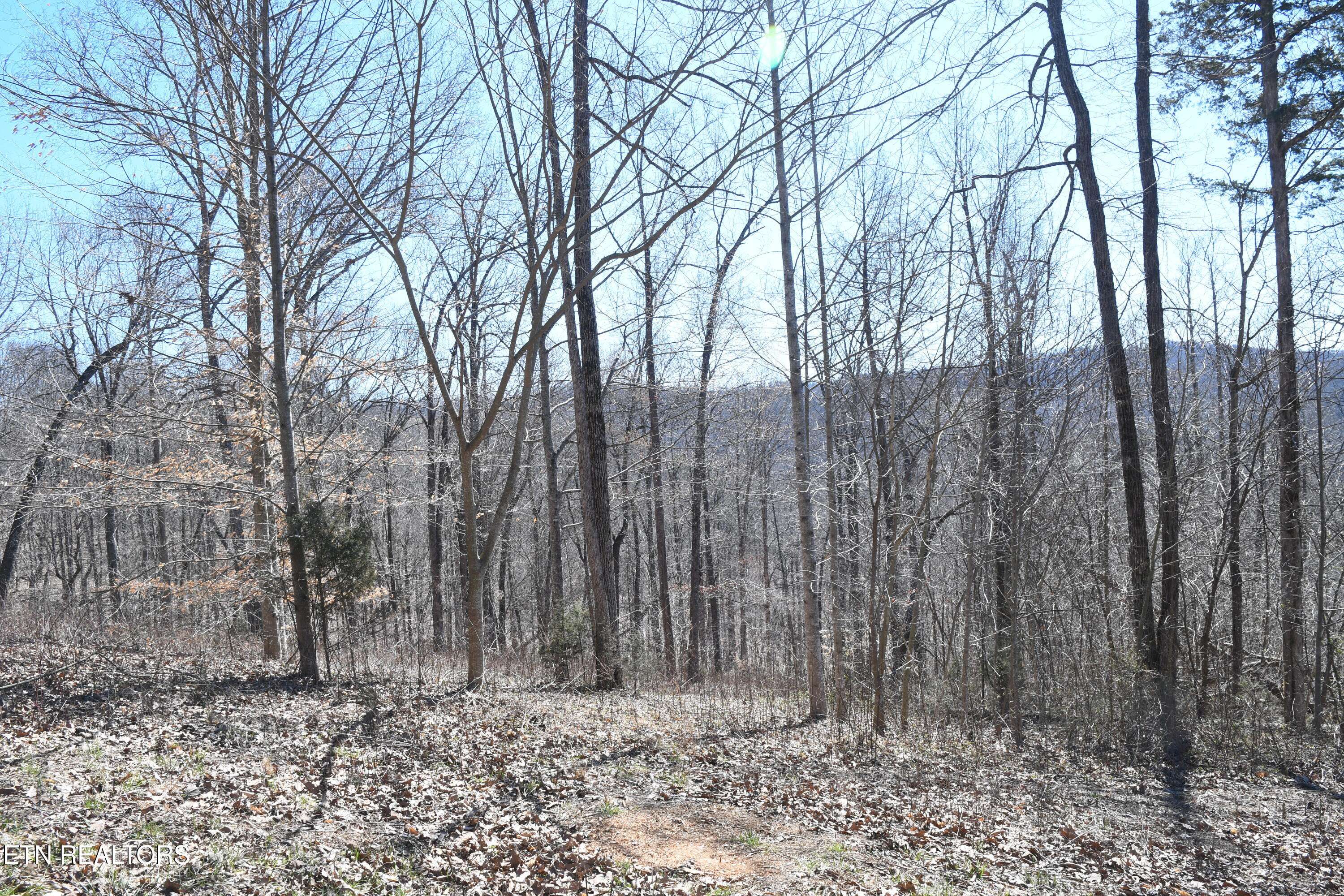 Sharps Chapel, TN 37866,Lot 77 Pinnacle Pointe WAY