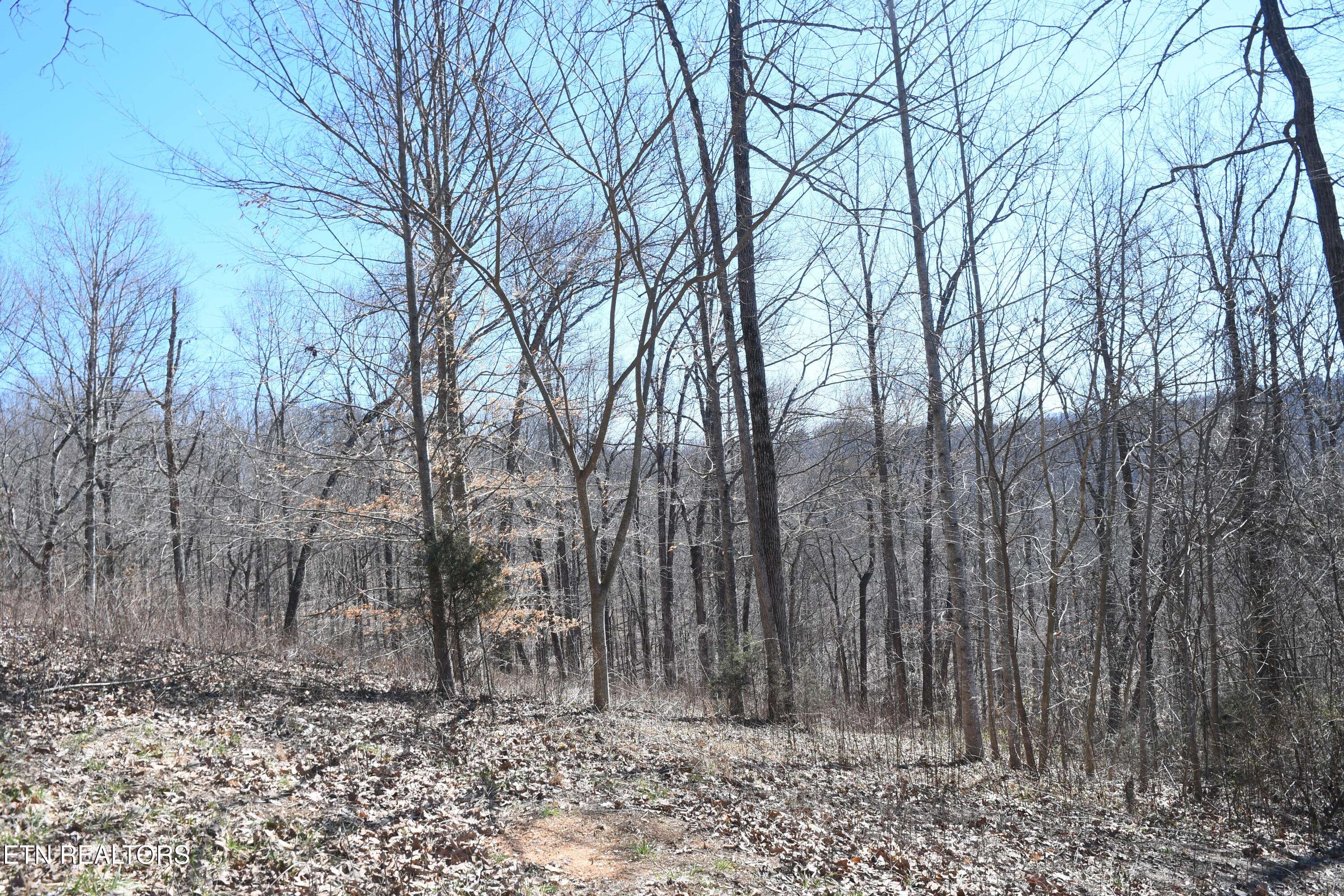 Sharps Chapel, TN 37866,Lot 77 Pinnacle Pointe WAY