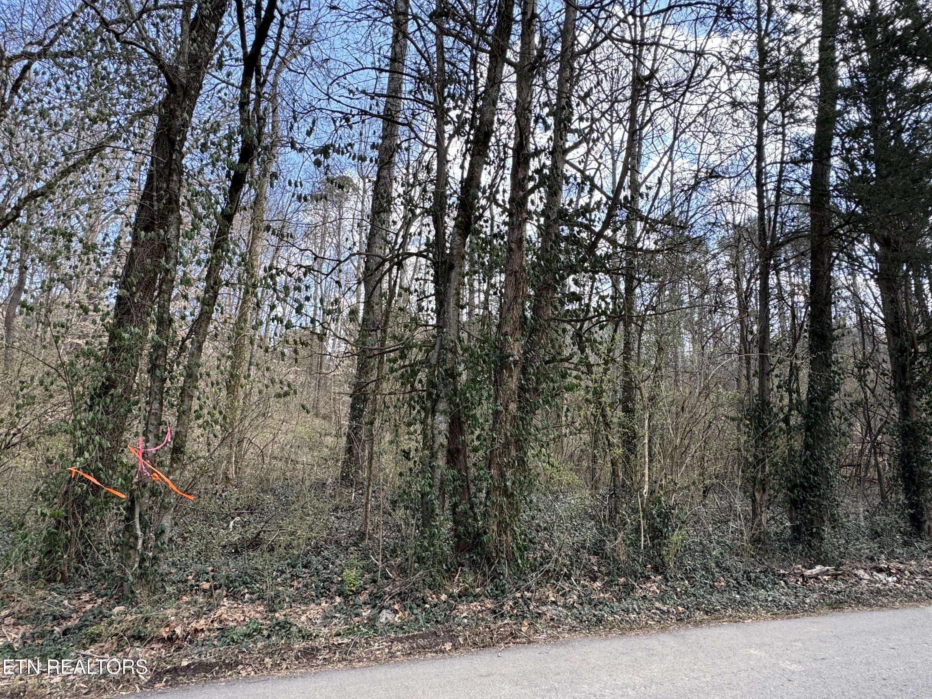 Strawberry Plains, TN 37871,918 McCubbins Rd