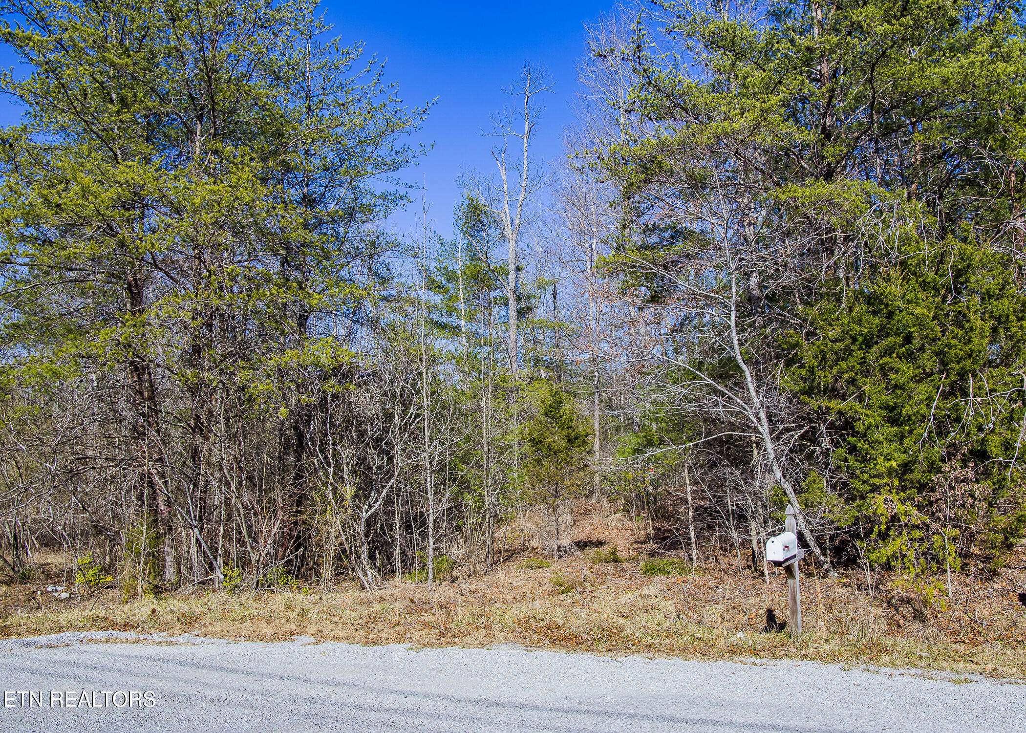 Crossville, TN 38555,LOT  #18 Grace LN