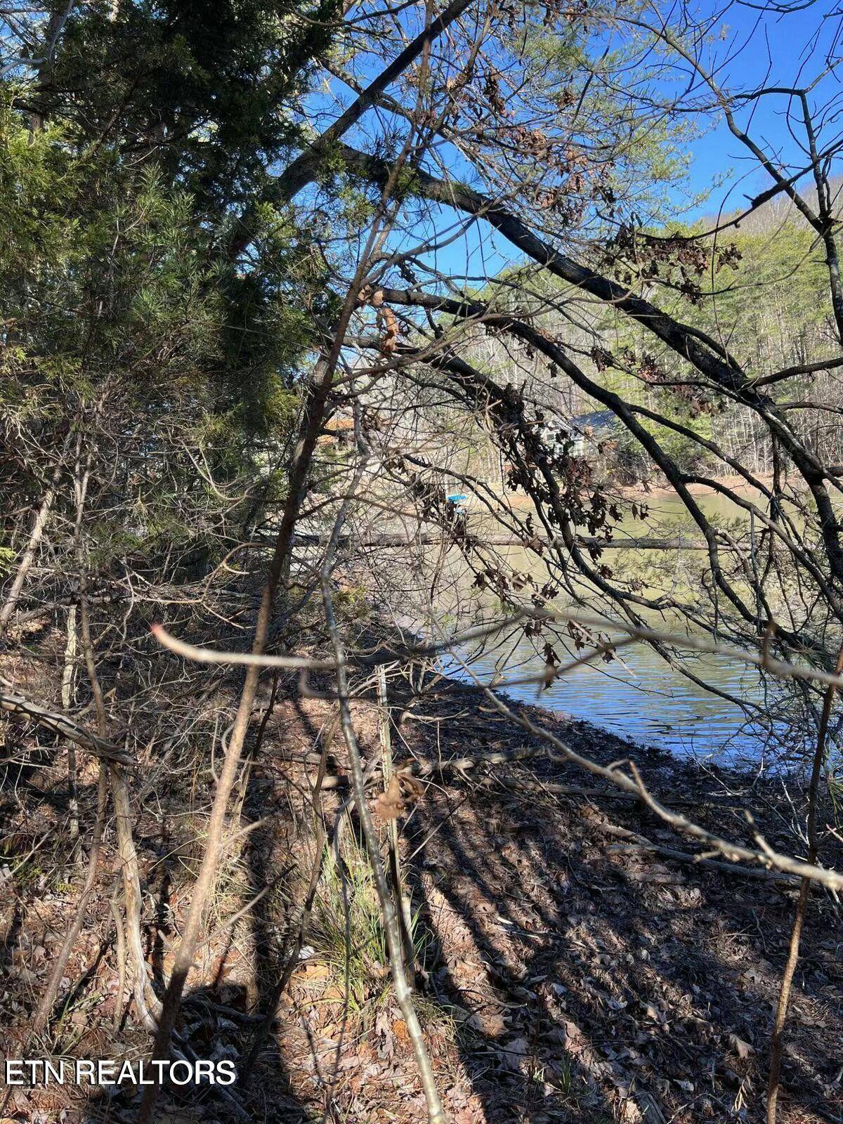 Madisonville, TN 37354,Lot 43 Laurel Lake Circle