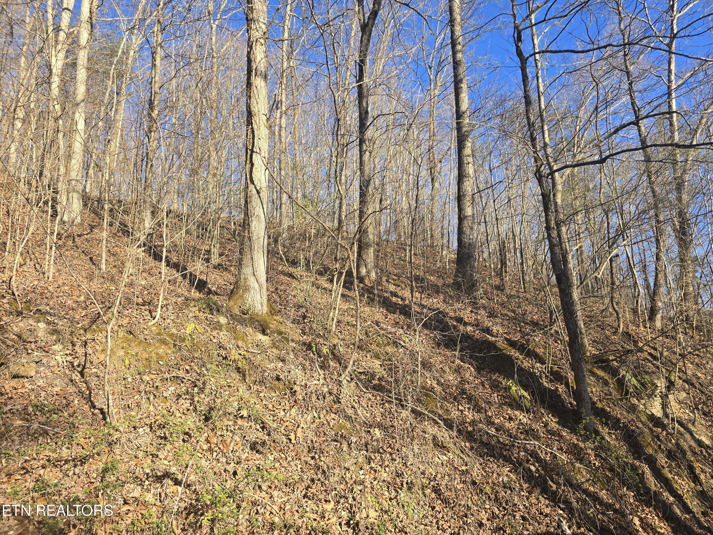 Lafollette, TN 37766,206 Lick Creek LN