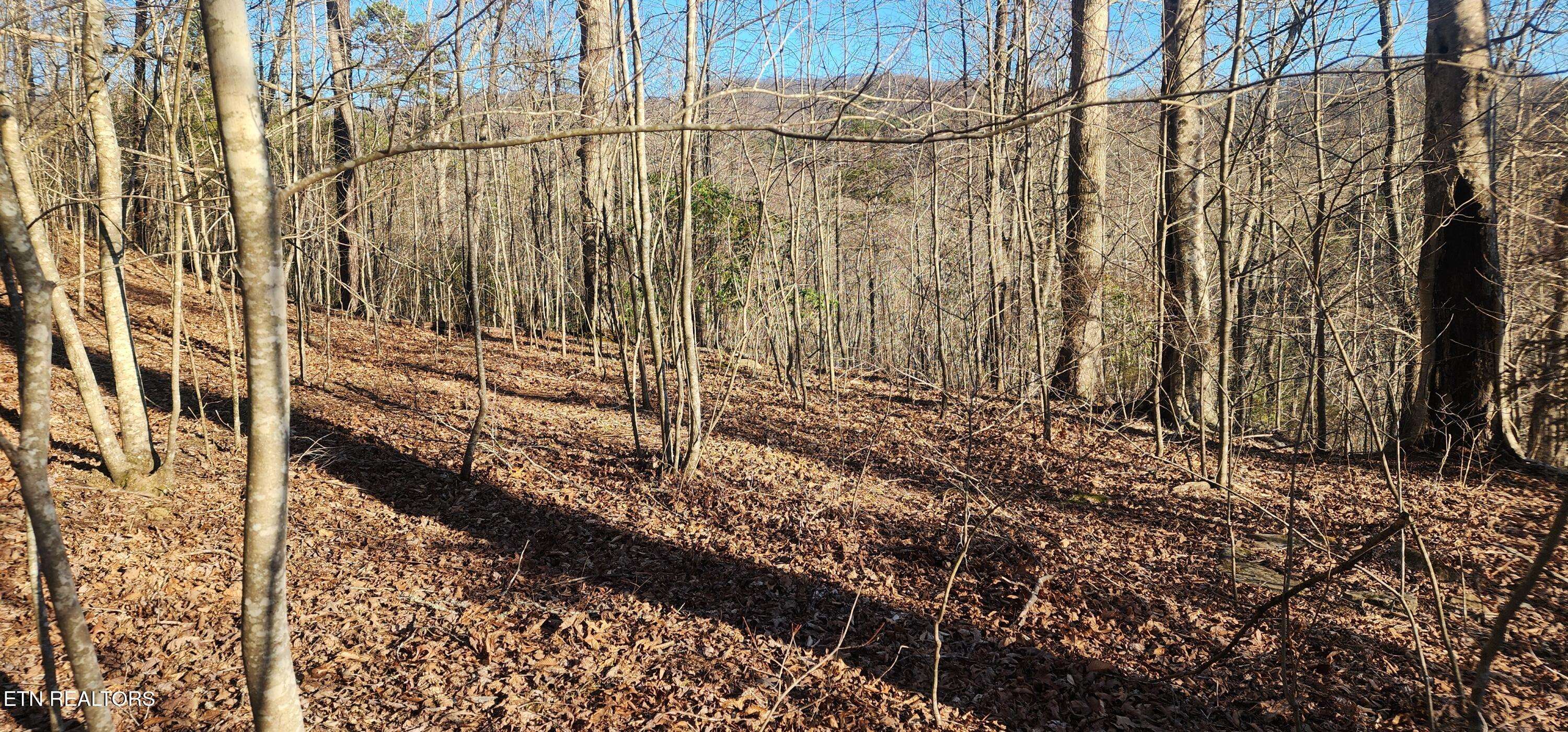 Lafollette, TN 37766,206 Lick Creek LN