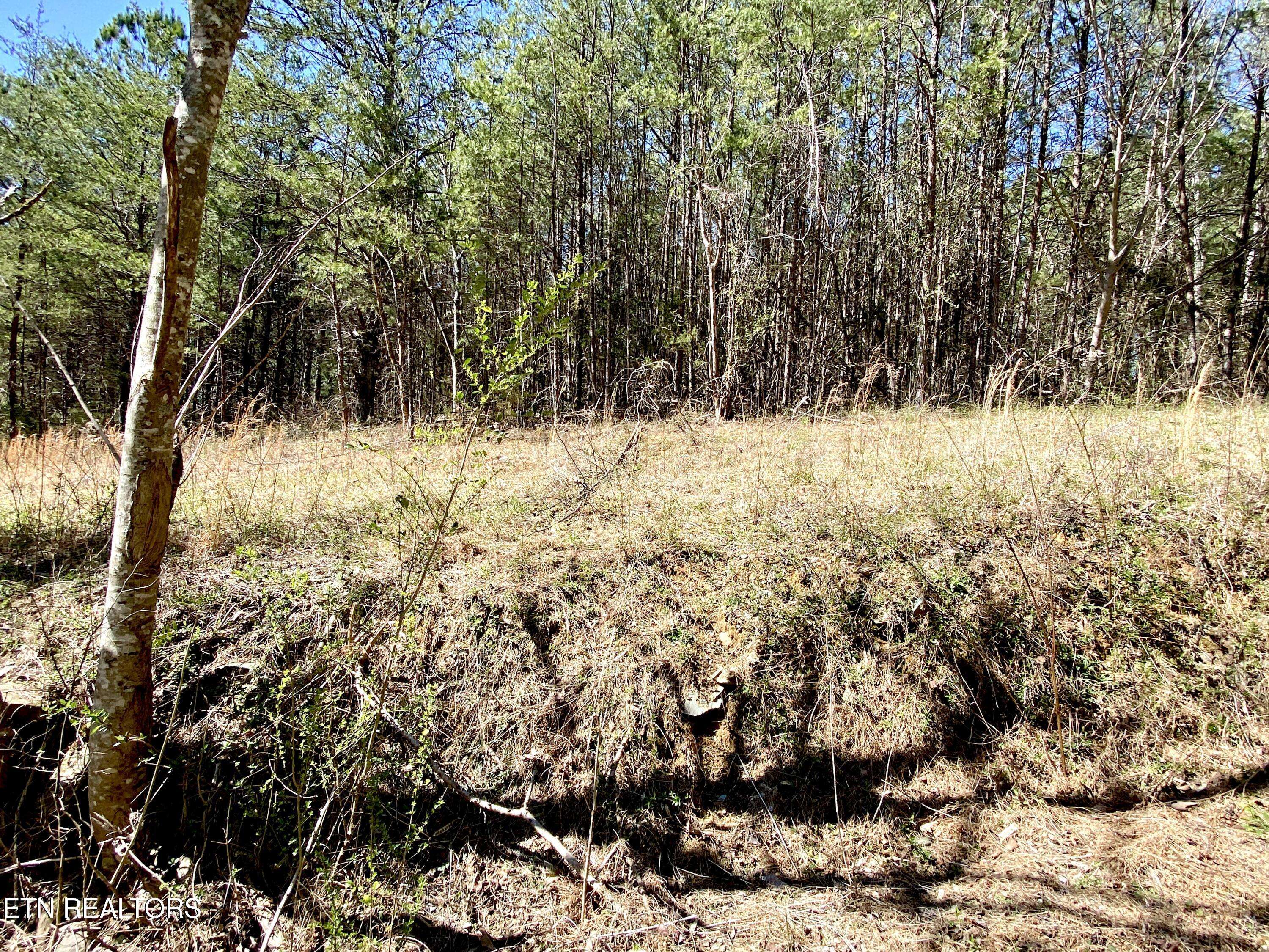 Tellico Plains, TN 37385,396 Beulah Rd