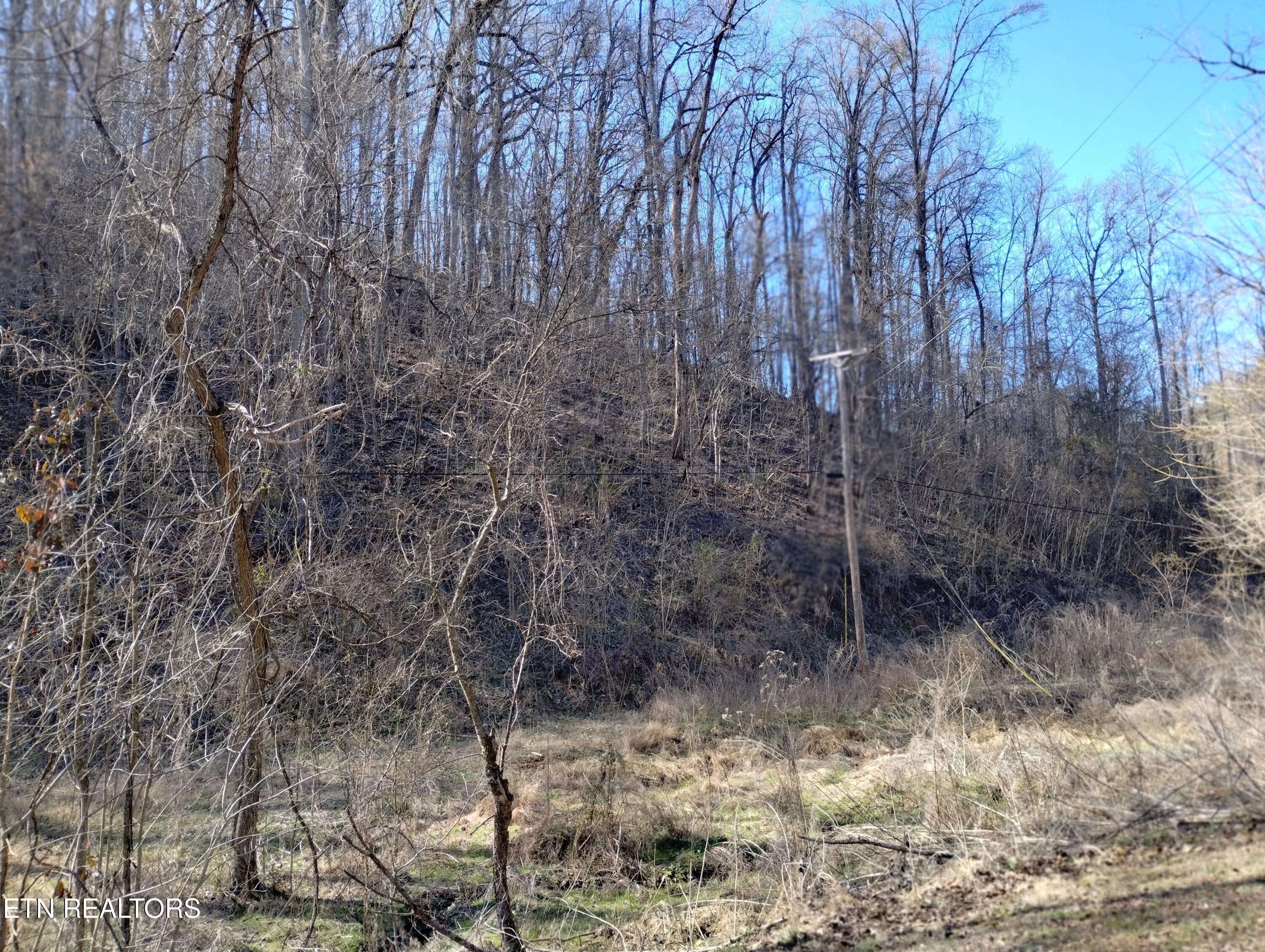 Maryville, TN 37801,270 Smokey Rd