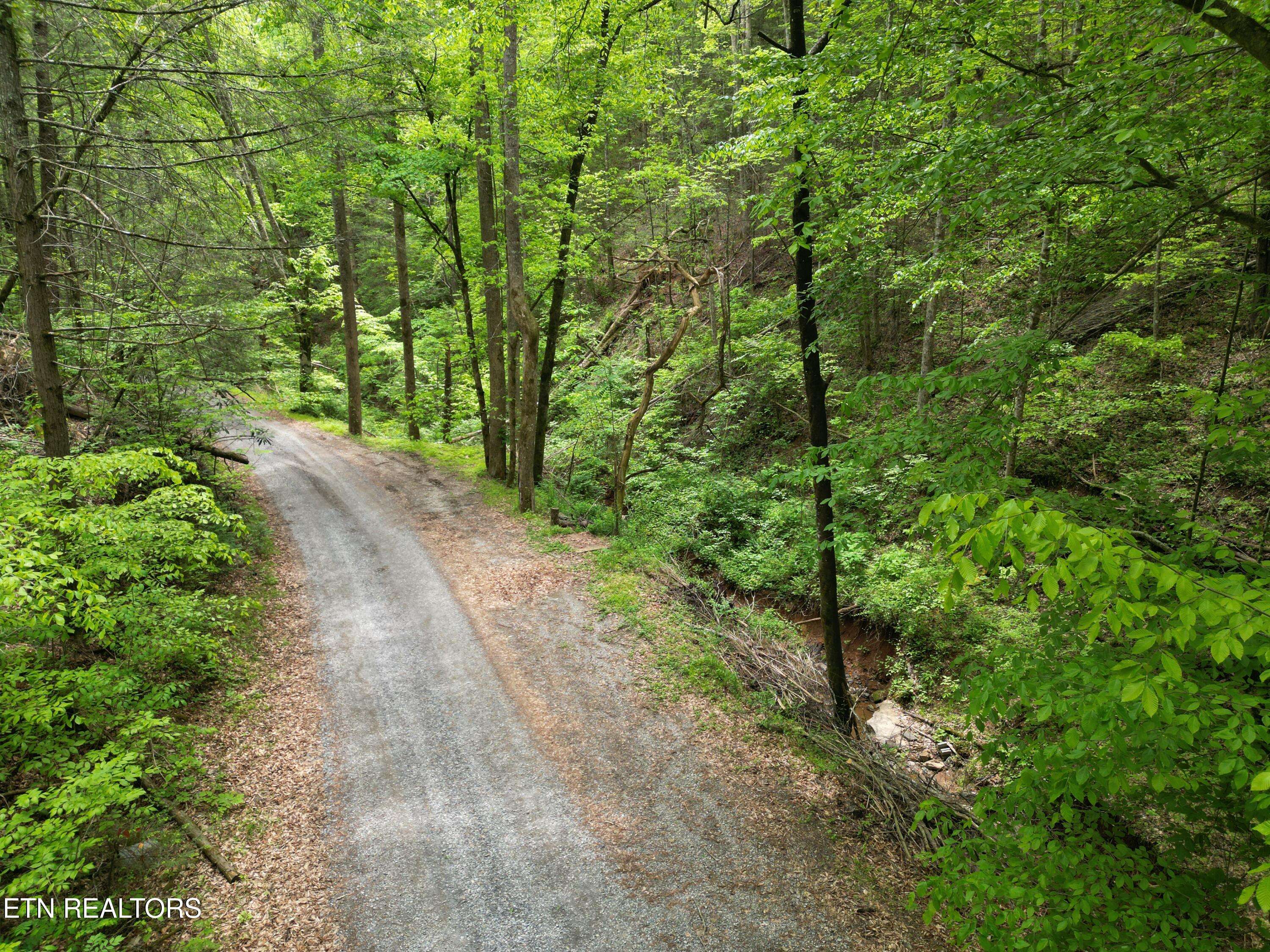 Sevierville, TN 37876,Hobe Maples Way