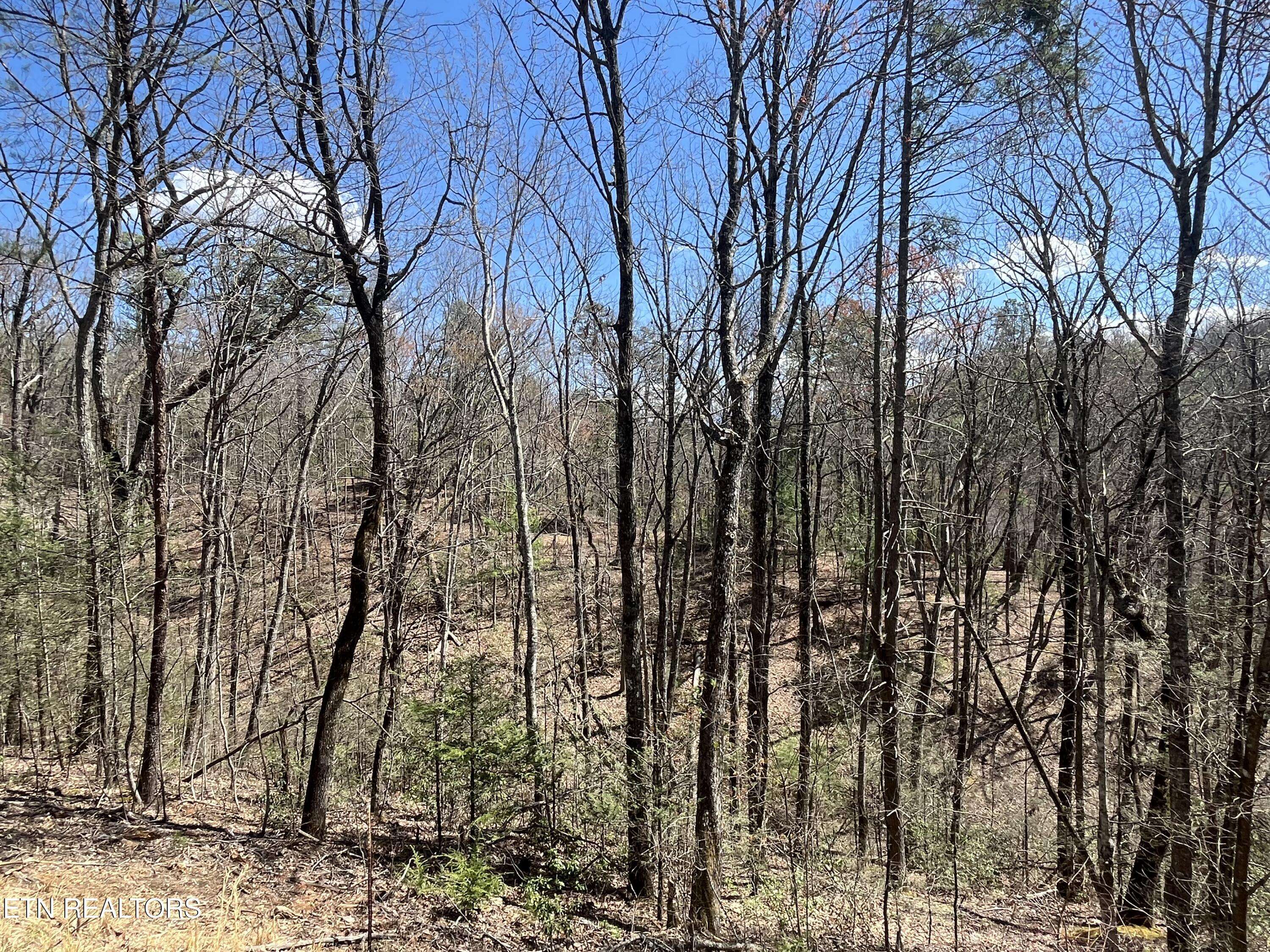 Sevierville, TN 37876,4010 Fox Hunters LN