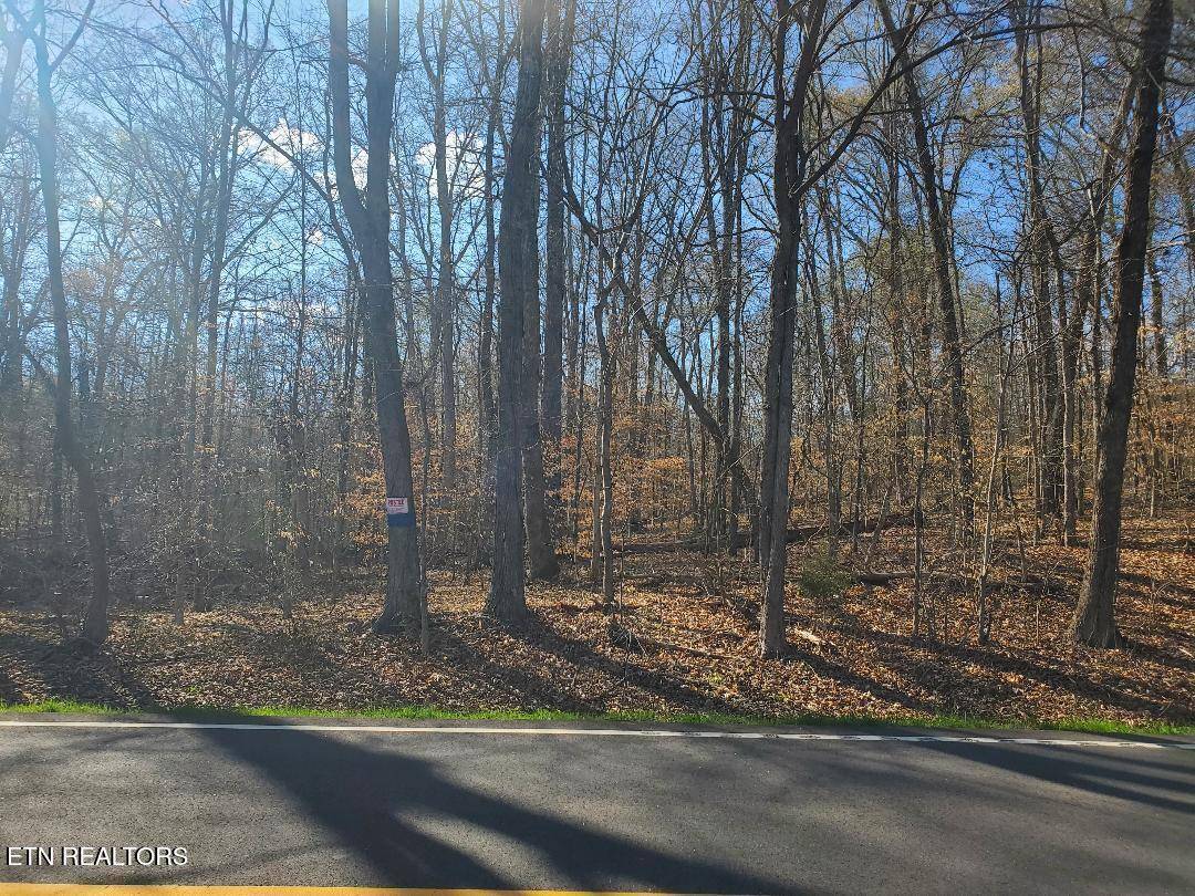 Decatur, TN 37322,Lot 16 Highway 304