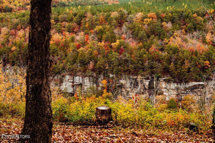 Soddy-daisy, TN 37379,000 Worley Rd