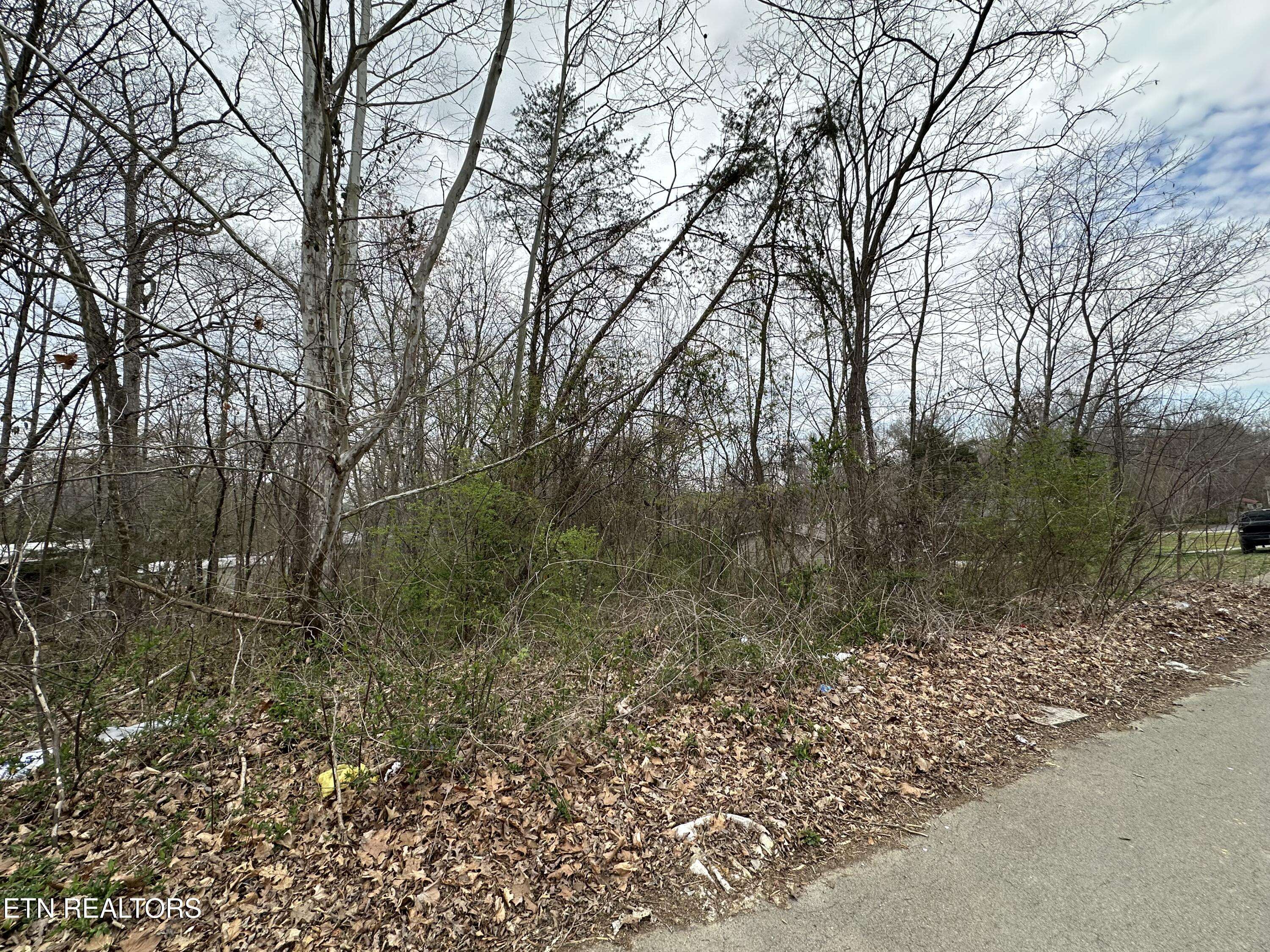 Newport, TN 37821,0 Long Ave