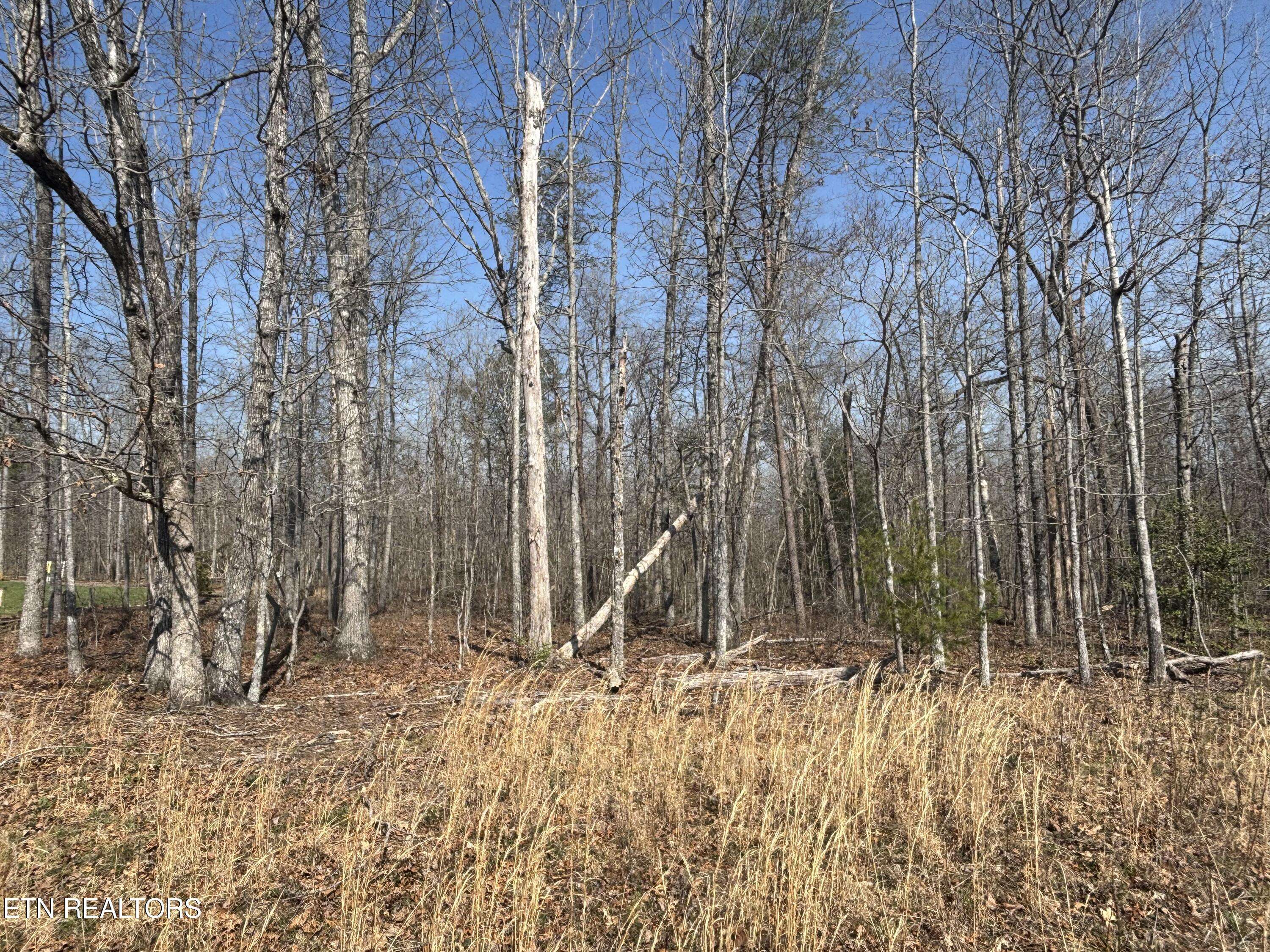 Crossville, TN 38572,205 Nehasane LN