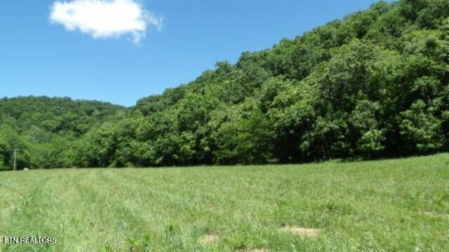 Moss, TN 38575,0 Brimstone Creek Rd