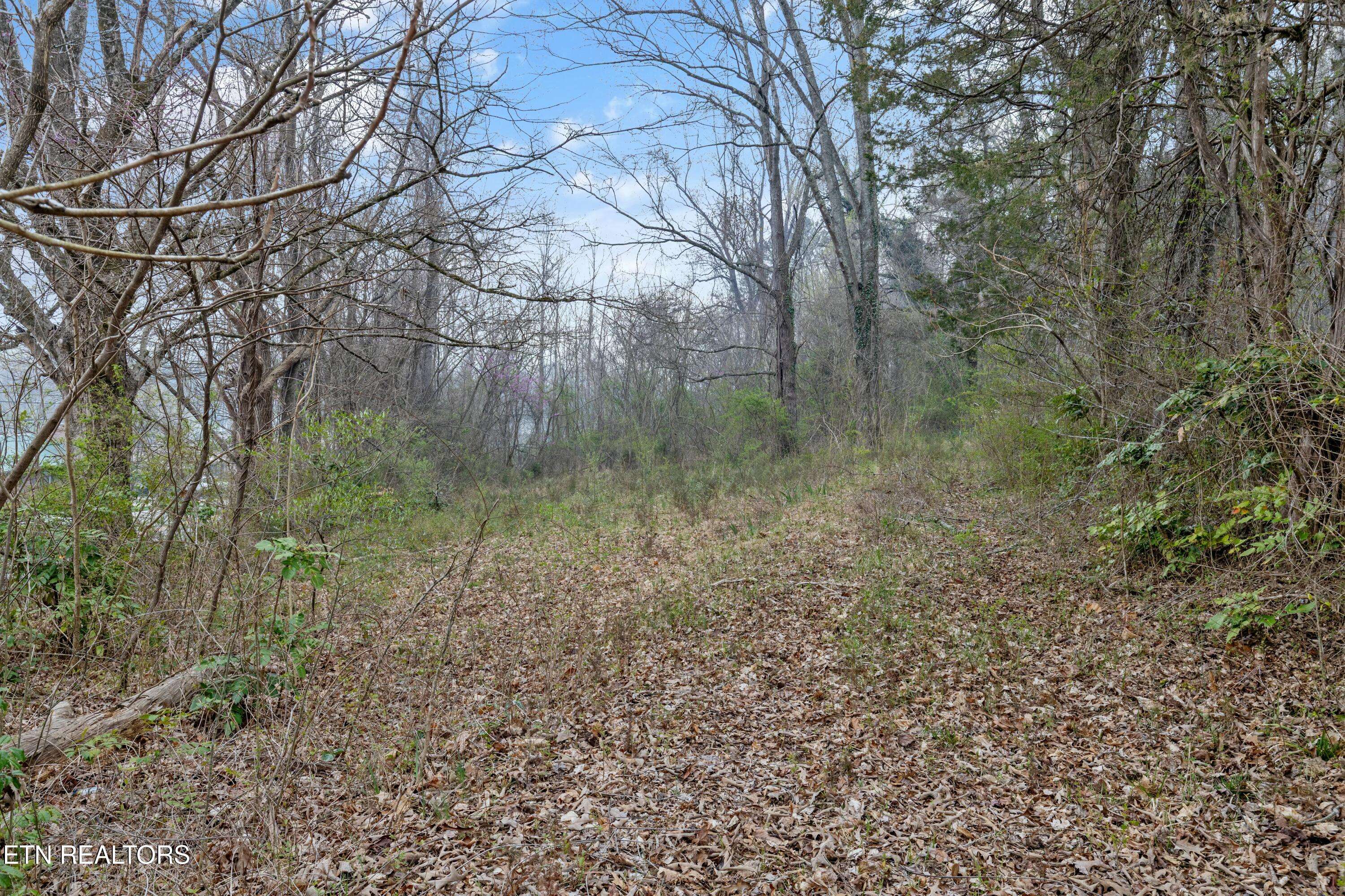 Lafollette, TN 37766,1120 Loop Rd