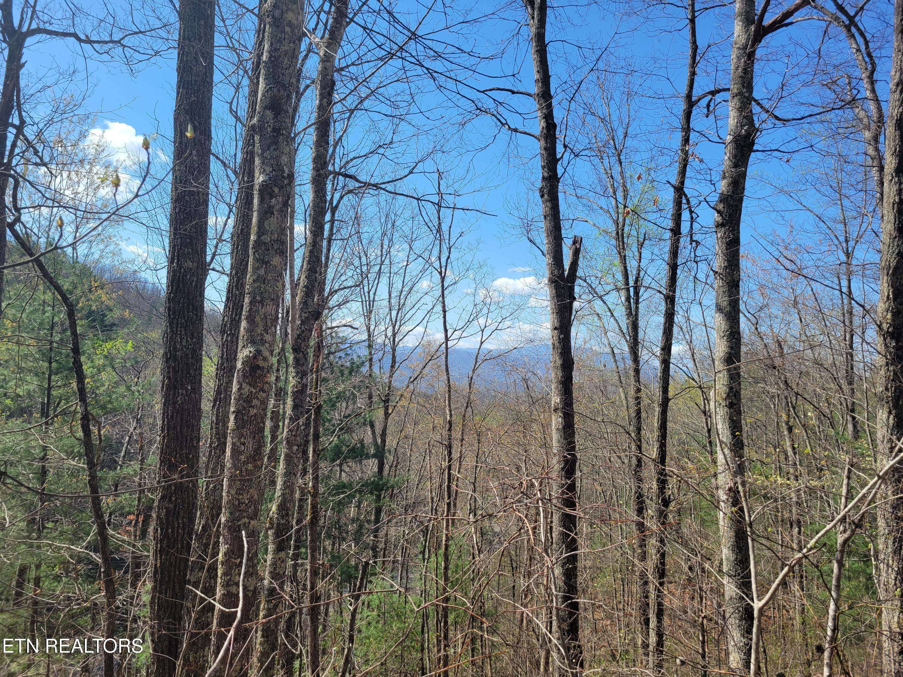 Sevierville, TN 37876,Lot 4 Alpine DR