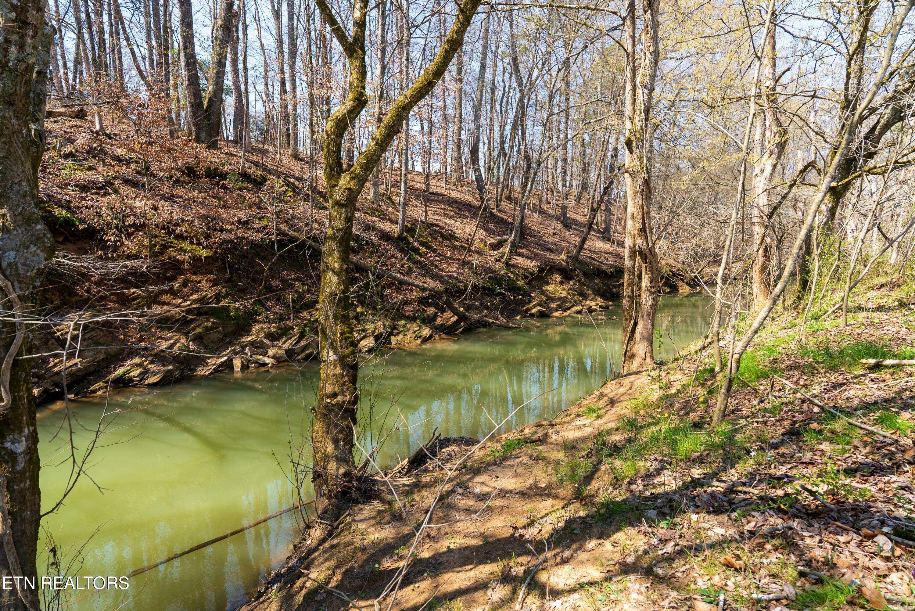 Maryville, TN 37801,Lot 5 Trigonia