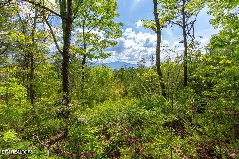 Gatlinburg, TN 37738,Lot 71 Vixen Run