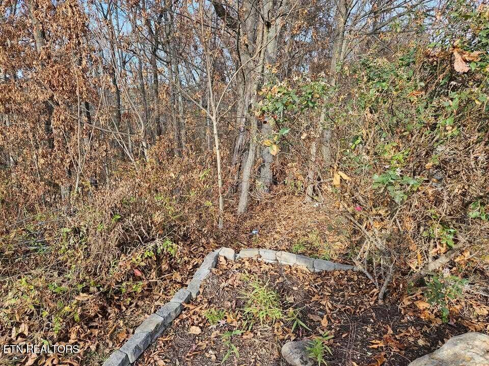 Evensville, TN 37332,Lots 29/30 Smyrna Heights