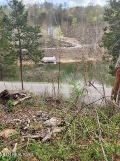 Speedwell, TN 37870,Flat Hollow Rd