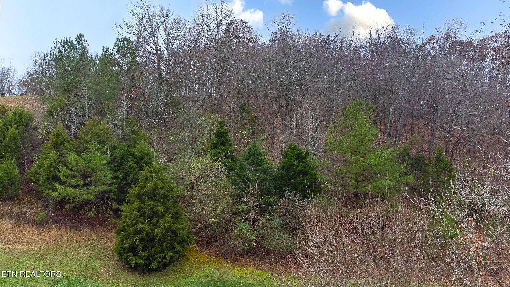 Loudon, TN 37774,120 Vineyard Cove DR
