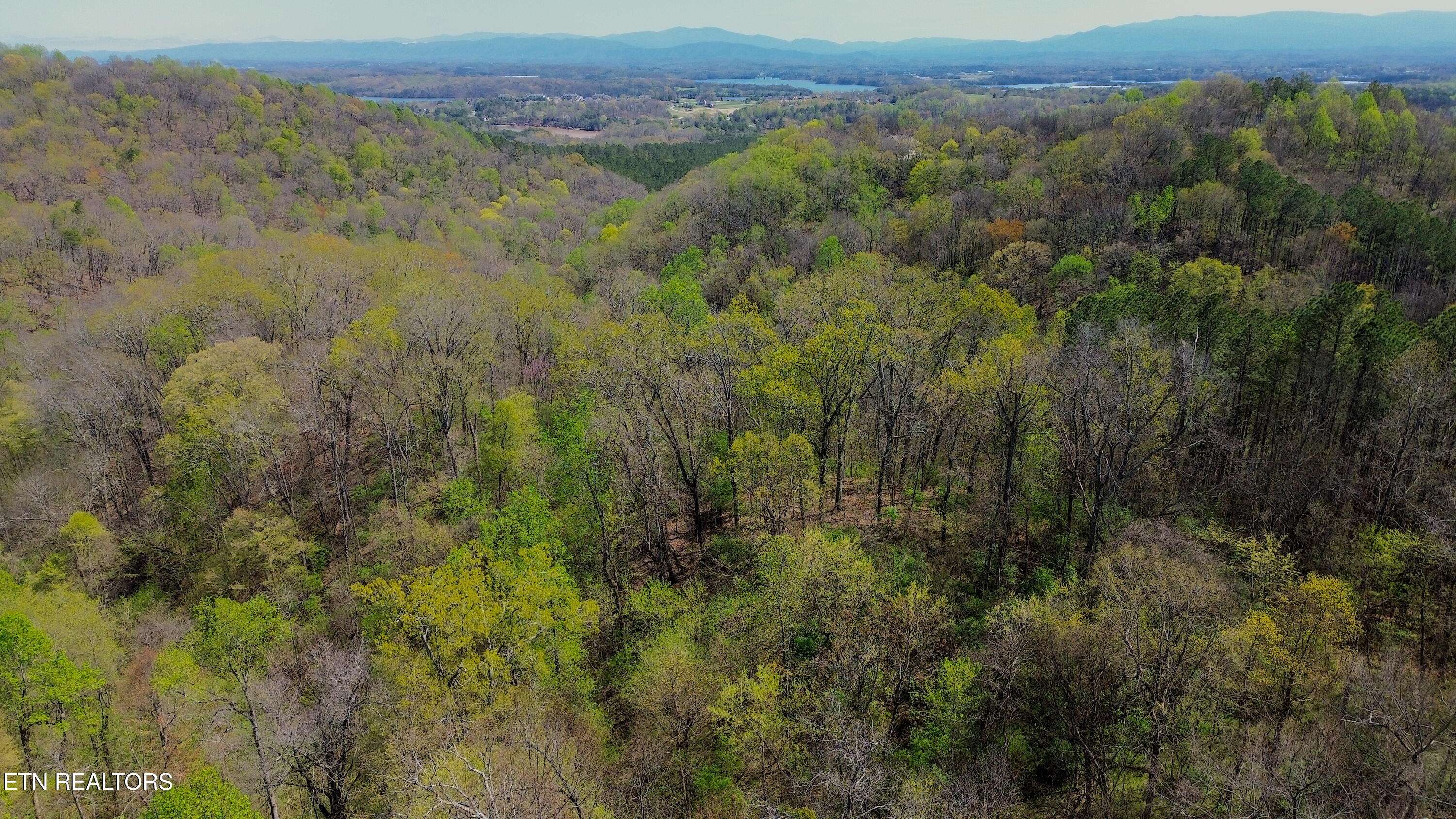 Vonore, TN 37885,Knob Rd