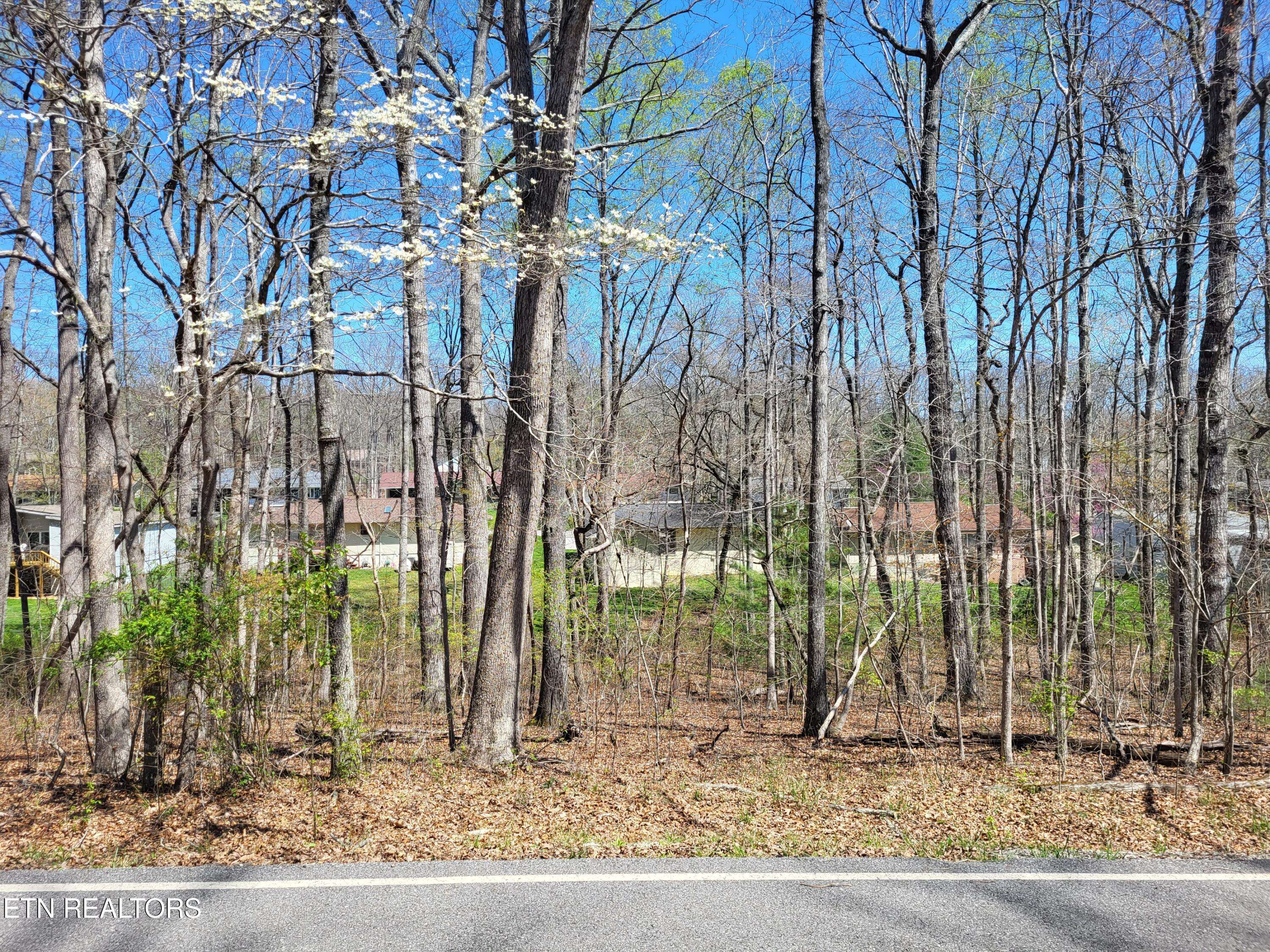 Crossville, TN 38558,131 Ivy Brook LN
